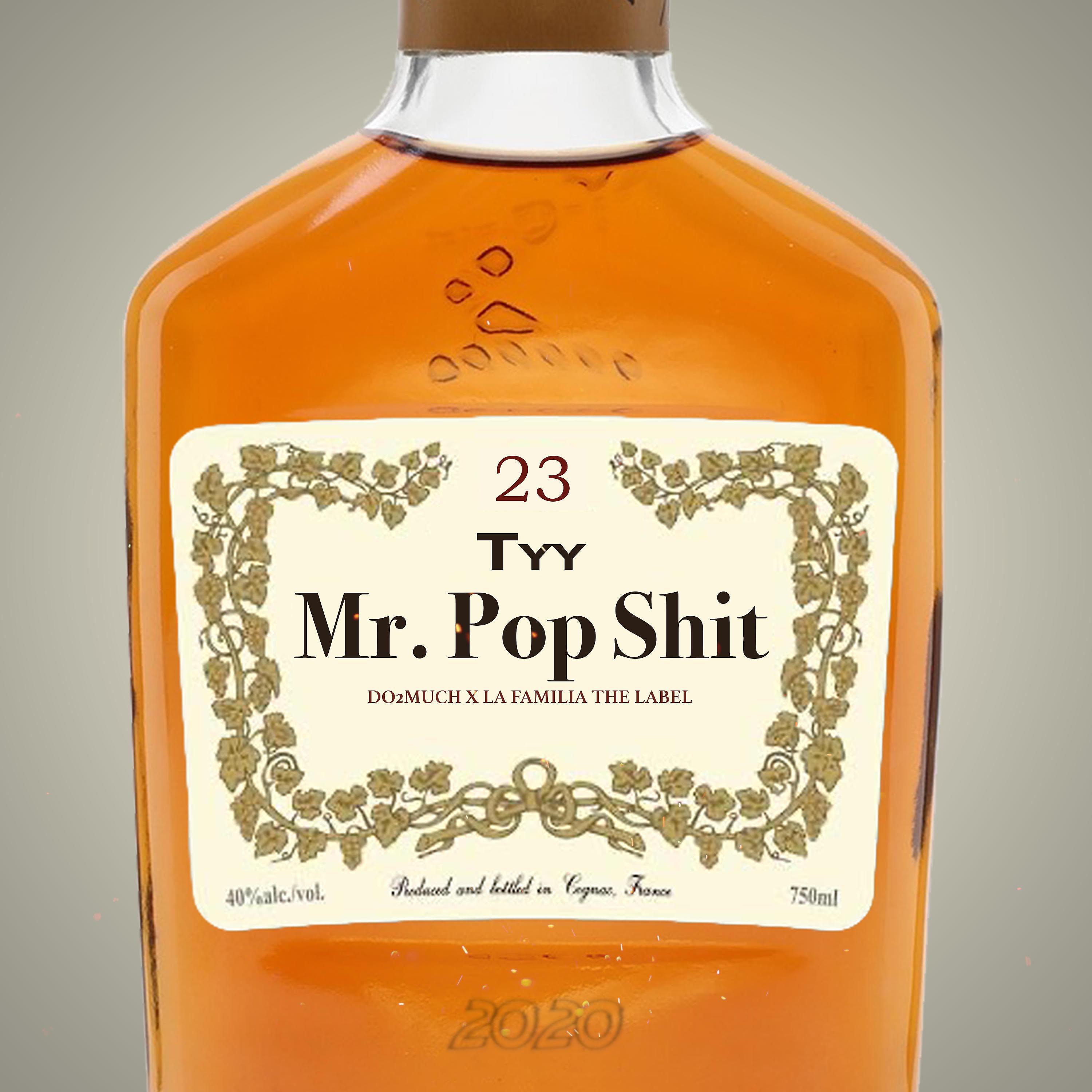 Постер альбома Mr. Pop Shit