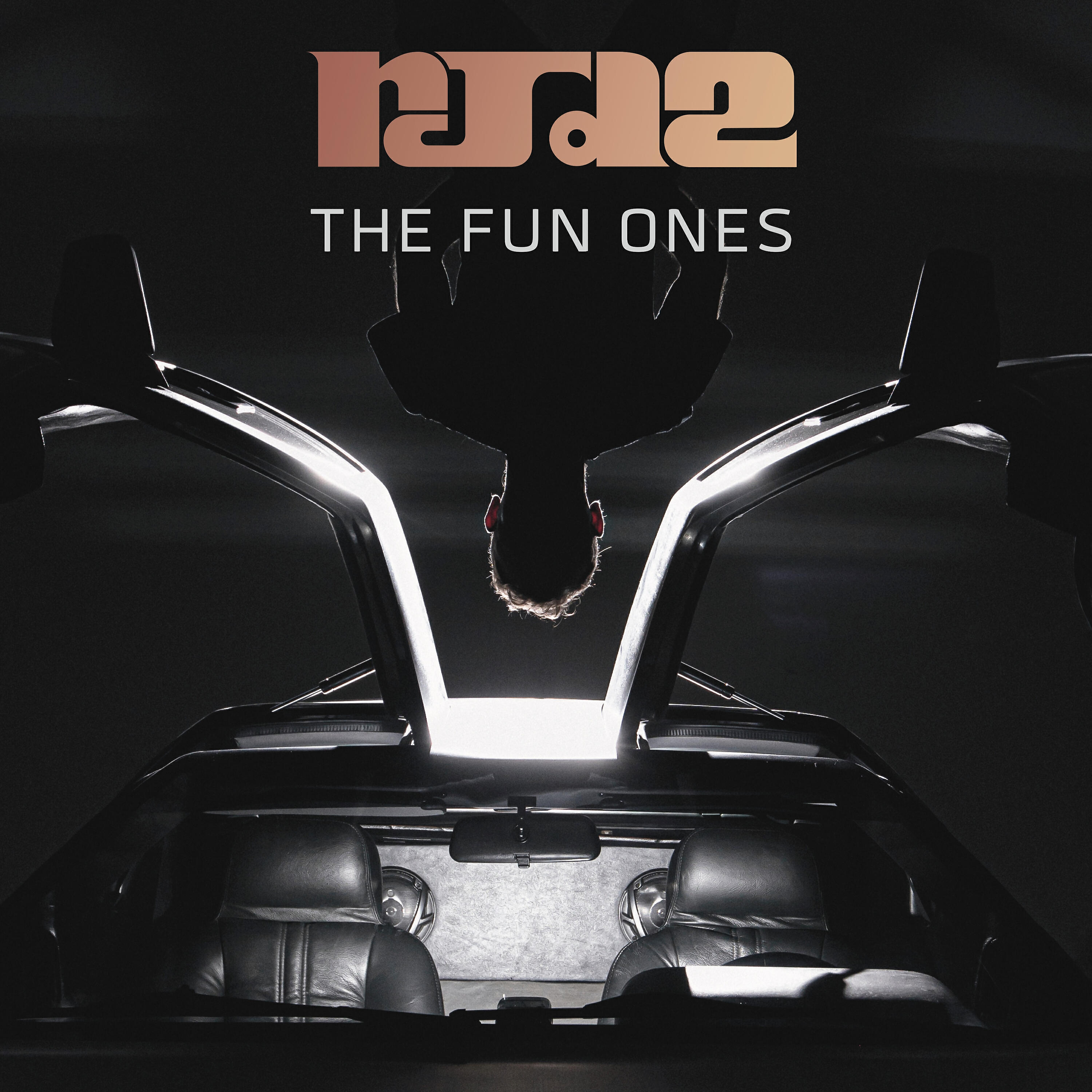 RJD2 - My Very Own Burglar Neighbor