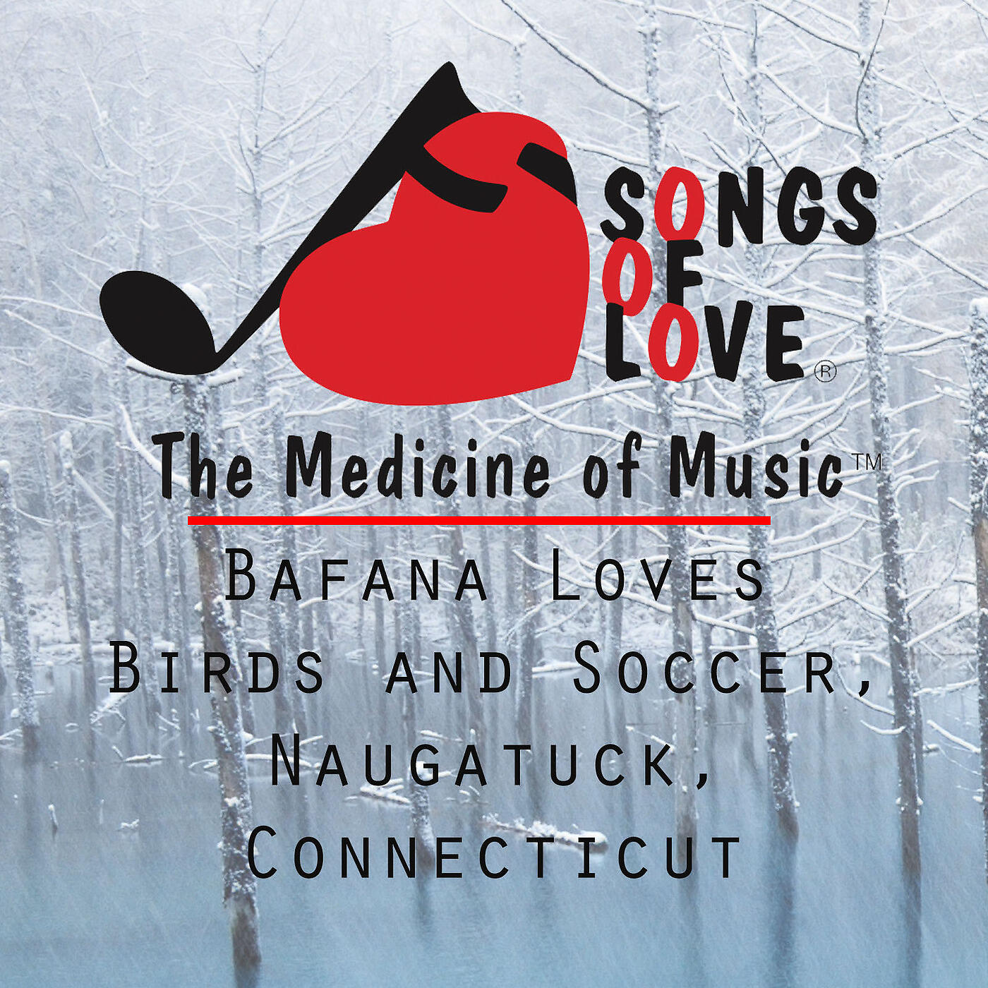 J.Gaven - Bafana Loves Birds and Soccer, Naugatuck, Connecticut