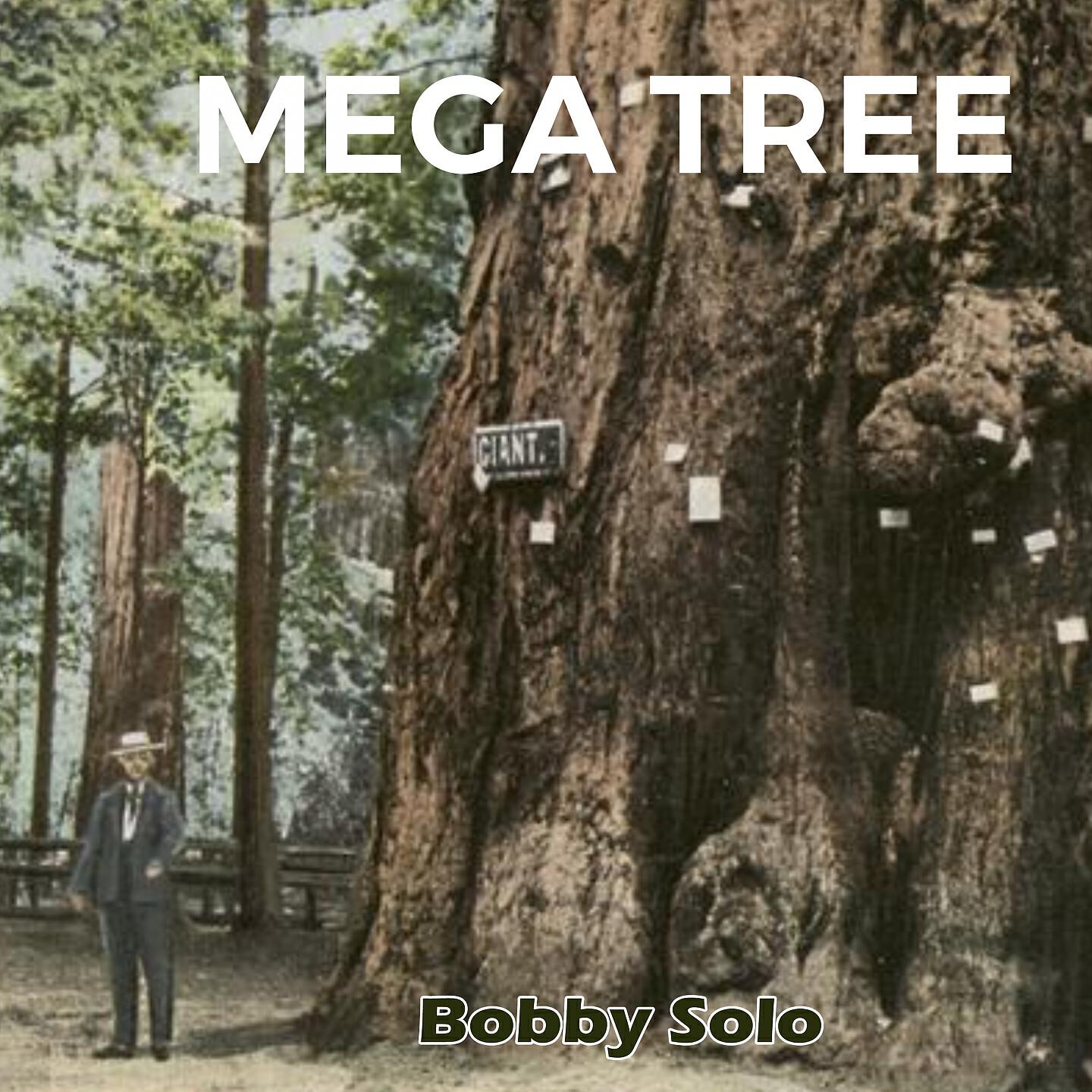 BOBBY SOLO - Ora Che Sei Gia Una Donna