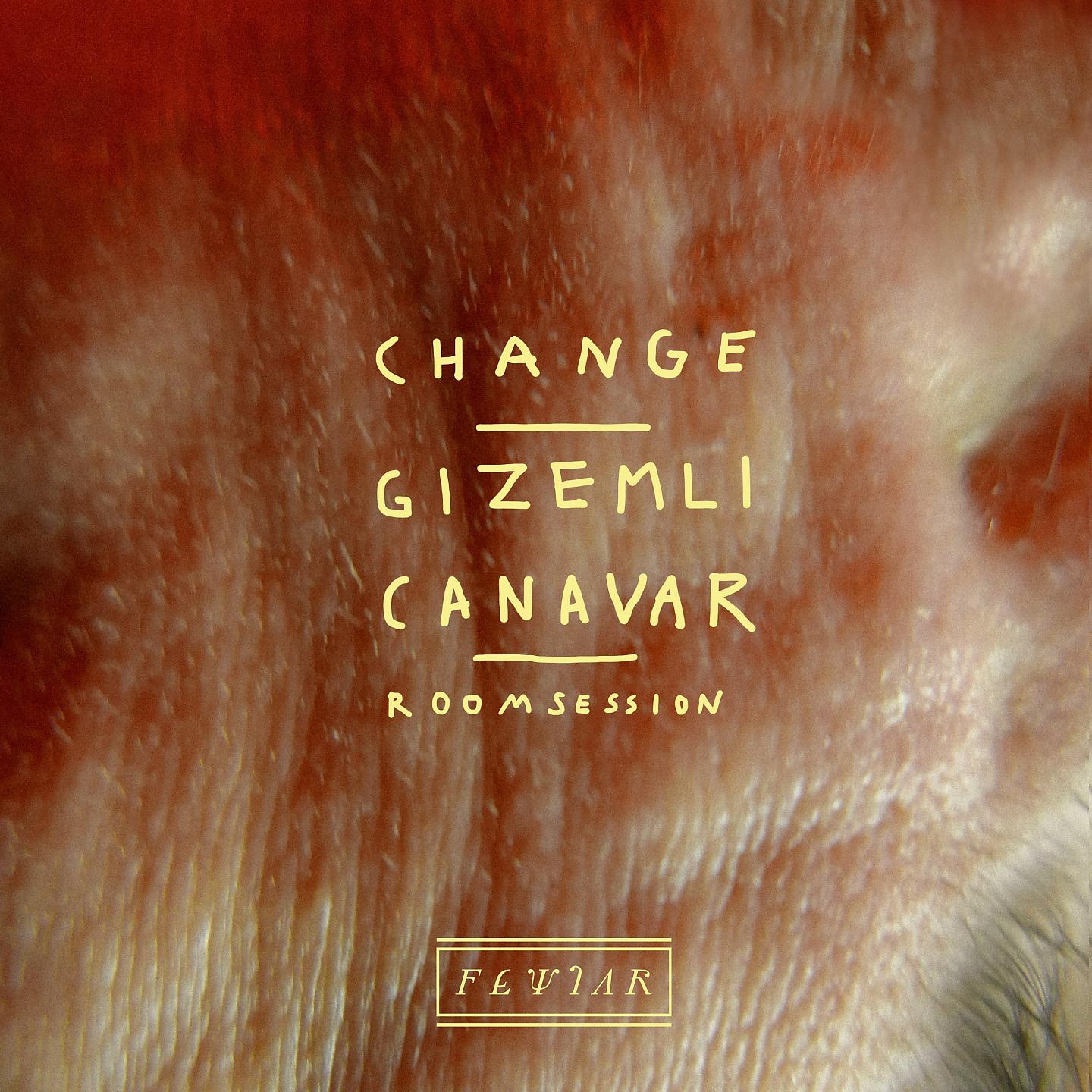 Постер альбома Change / Gizemli Canavar