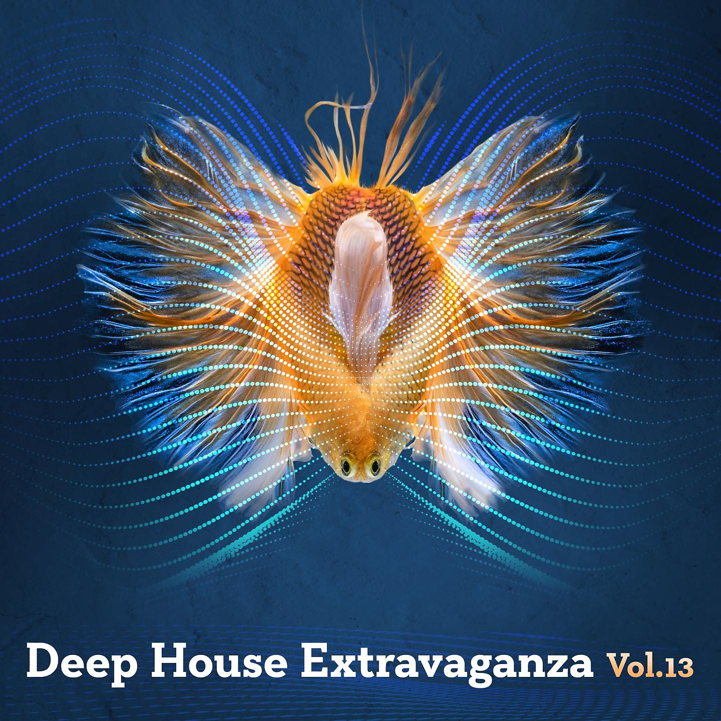 Постер альбома Deep House Extravaganza, Vol.13