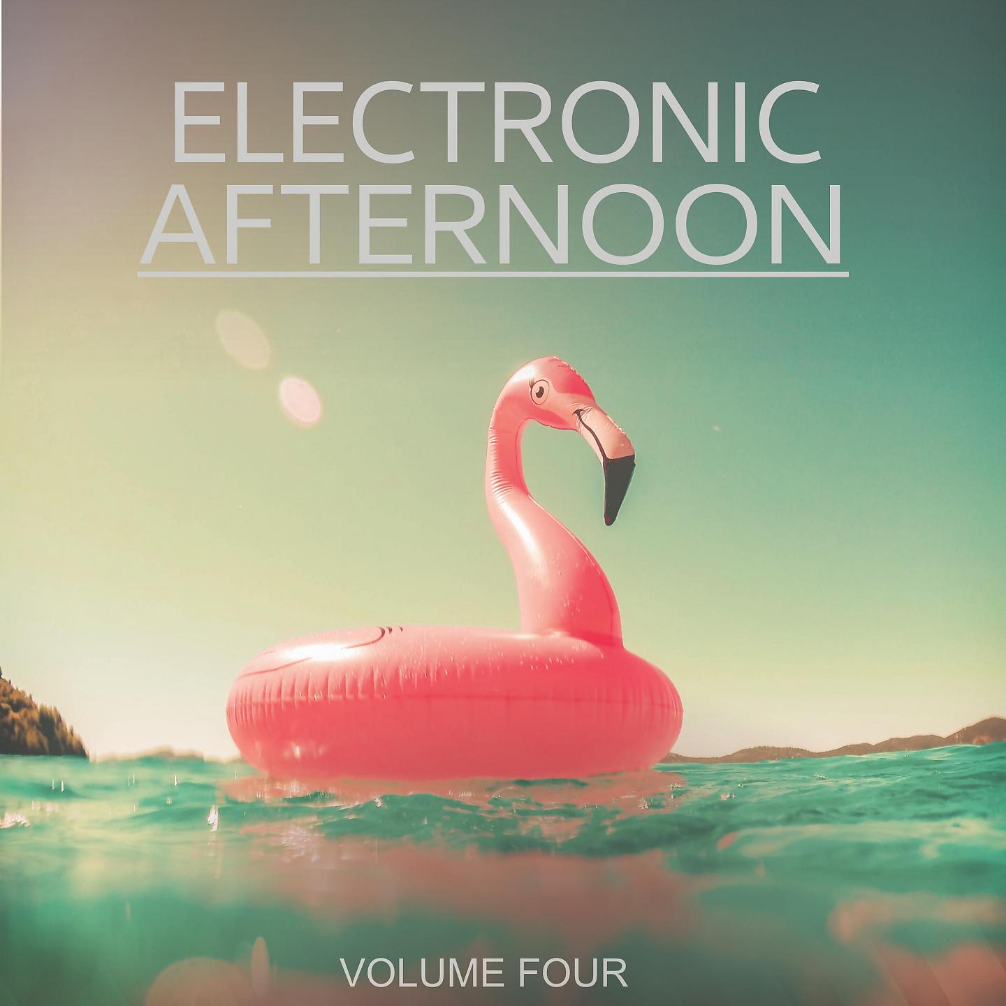 Постер альбома Electronic Afternoon, Vol. 4