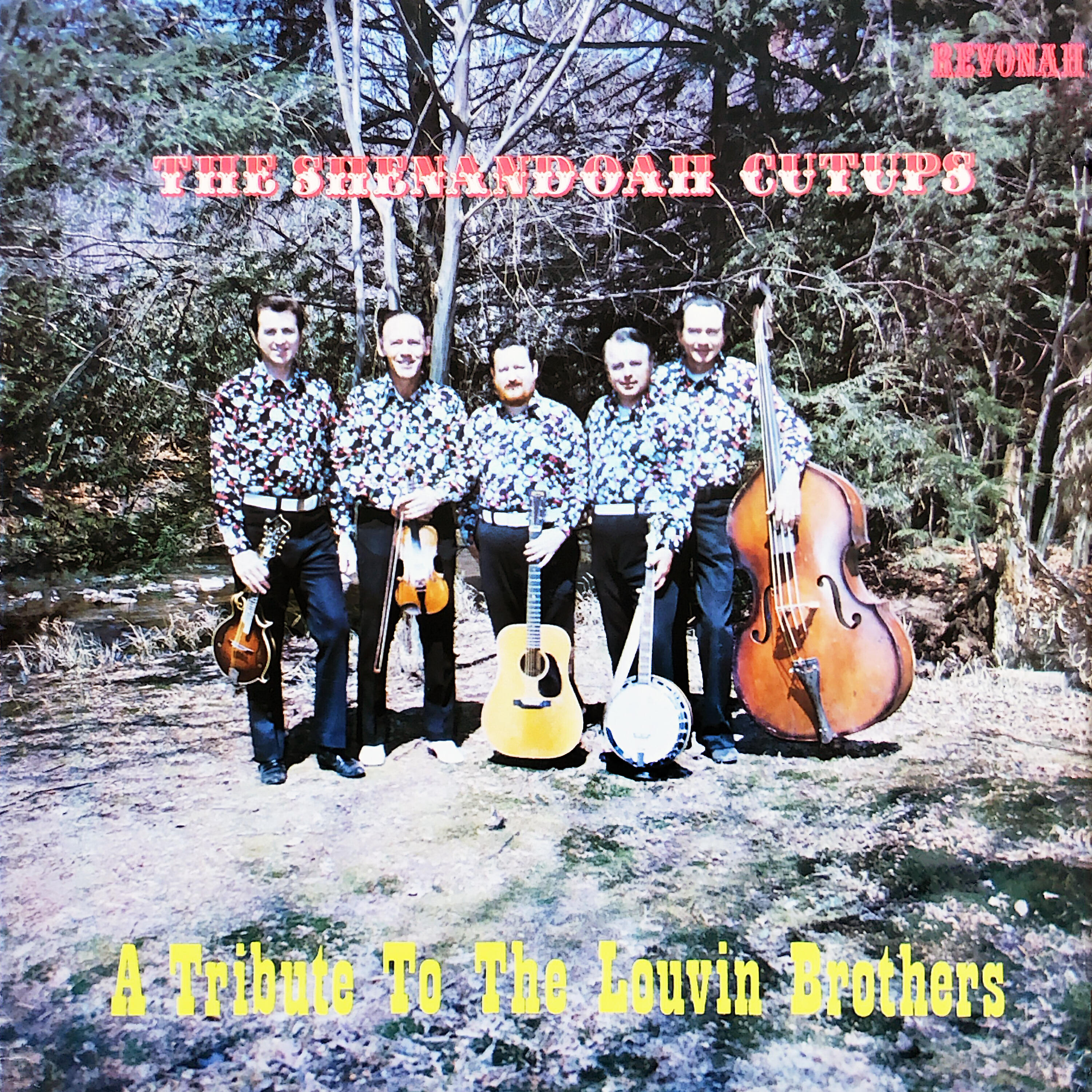 The Shenandoah Cutups - No One to Sing for Me