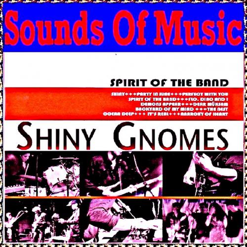 Постер альбома Sounds of Music pres. Shiny Gnomes