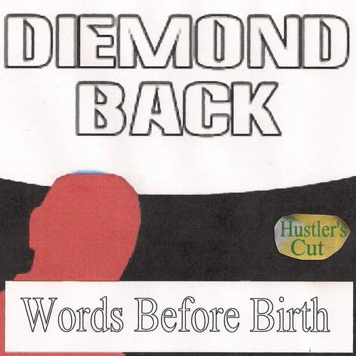 Постер альбома Words Before Birth