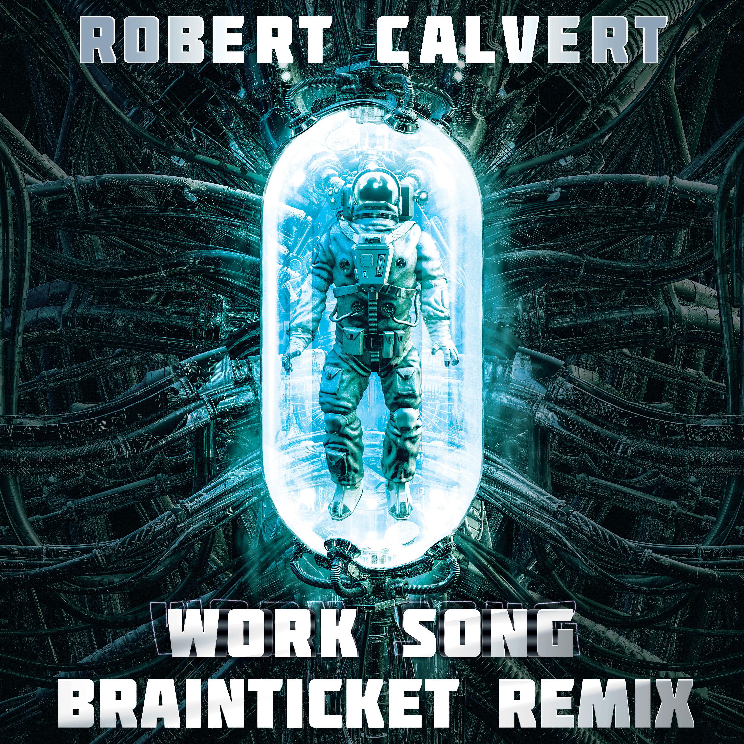 Постер альбома Work Song (Brainticket Remix)
