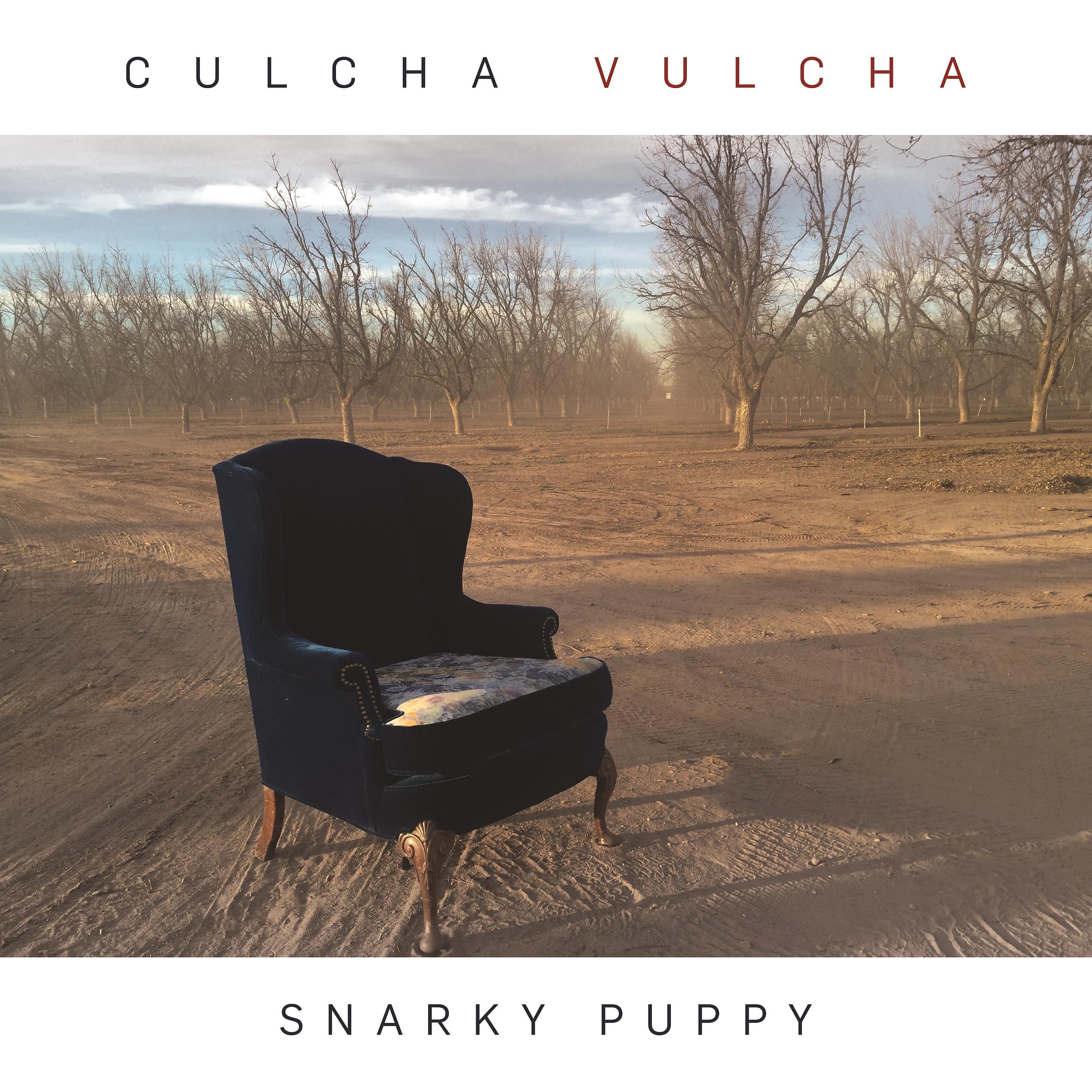 Постер альбома Culcha Vulcha