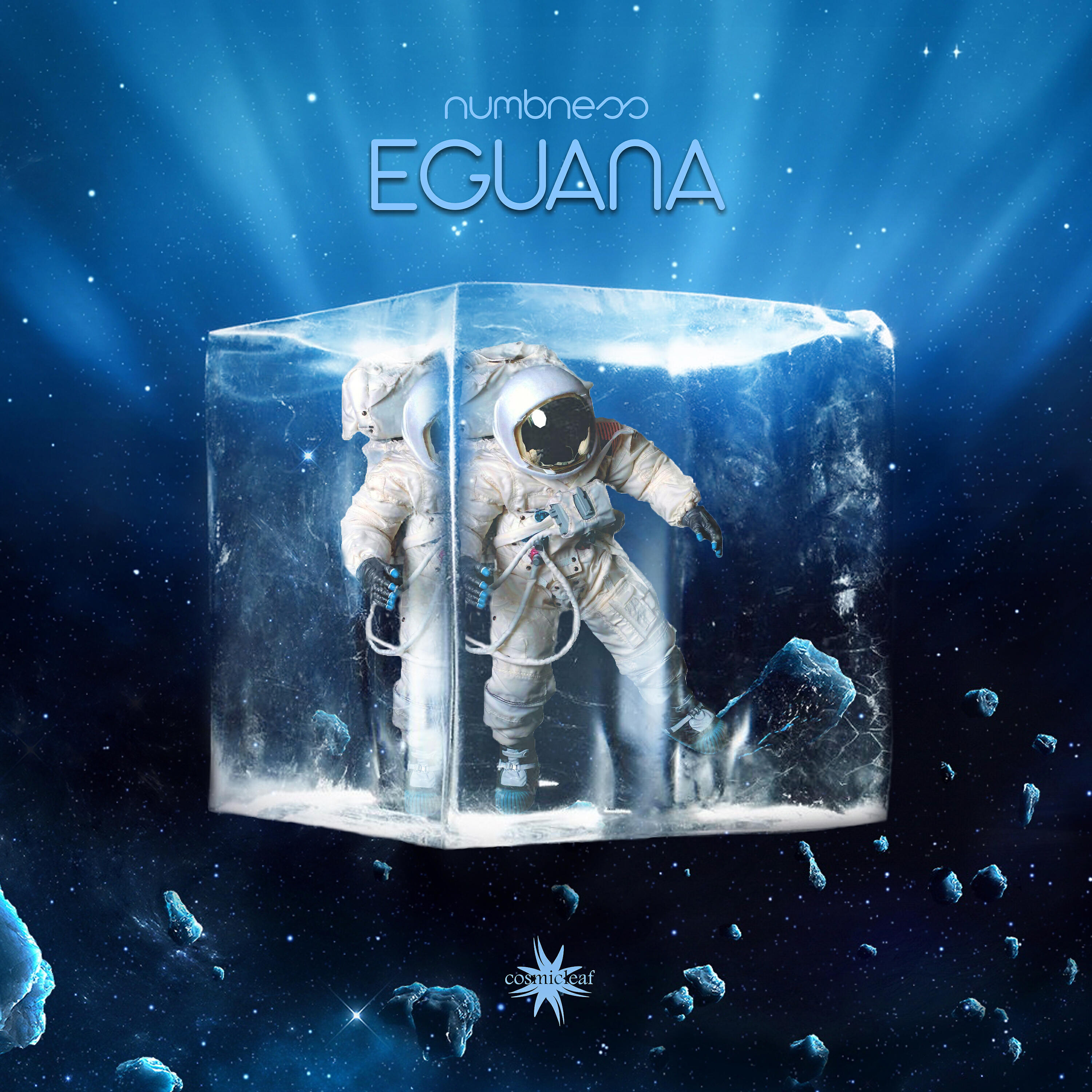 Eguana - Space Cat