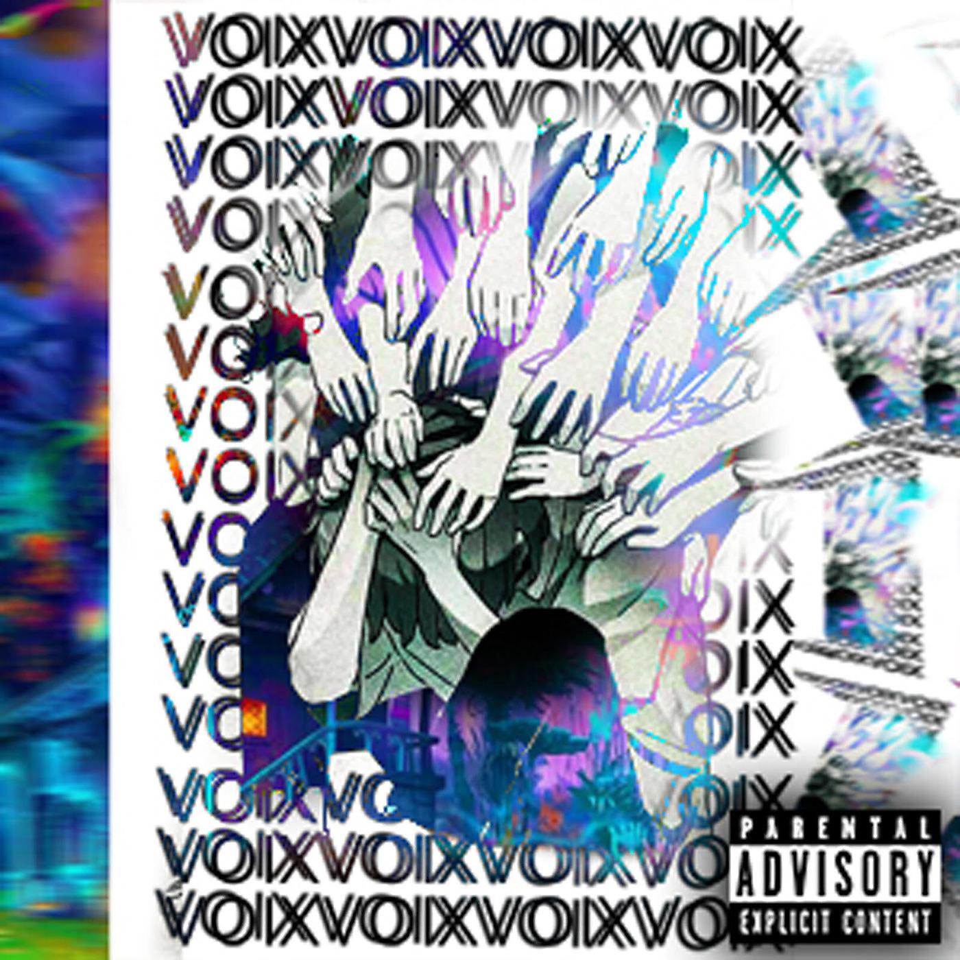 Постер альбома Voix