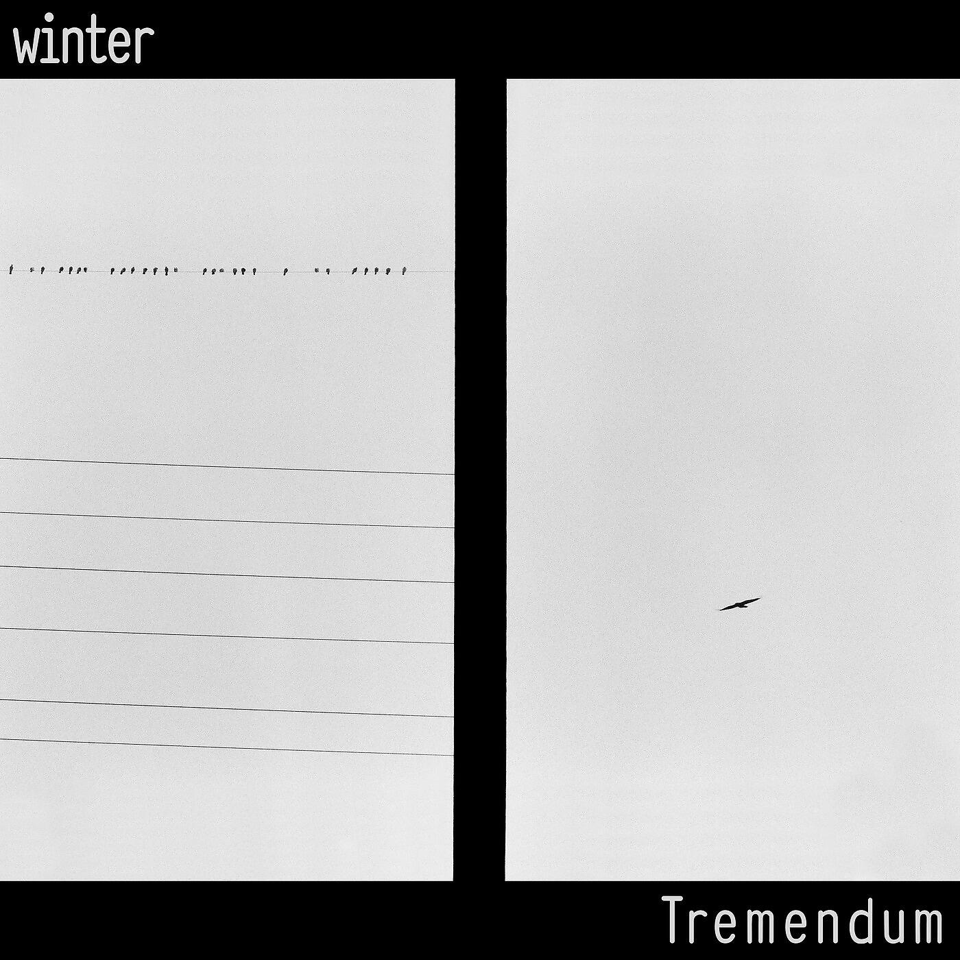 TREMENDUM - Slowly