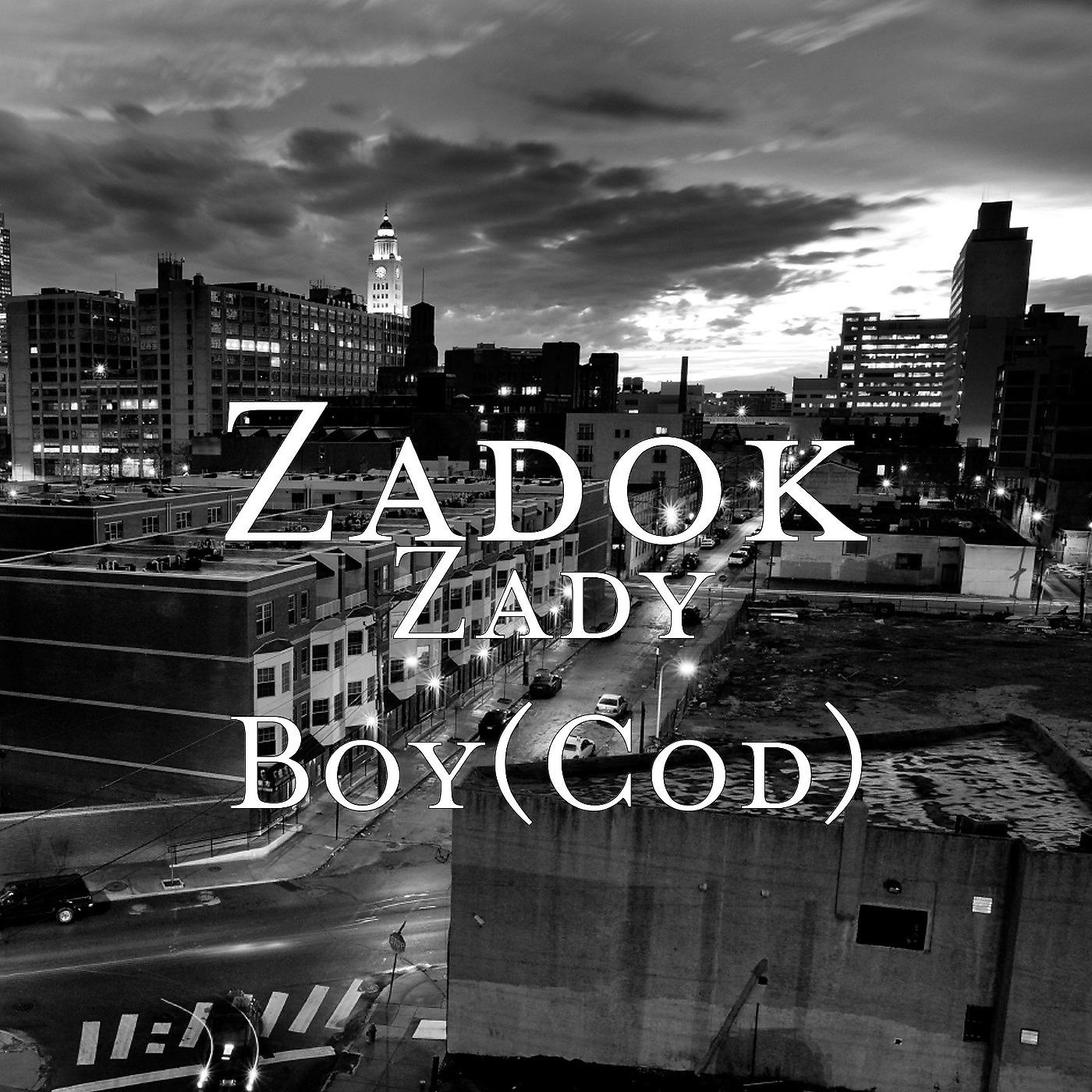 Постер альбома Zady Boy(Cod)