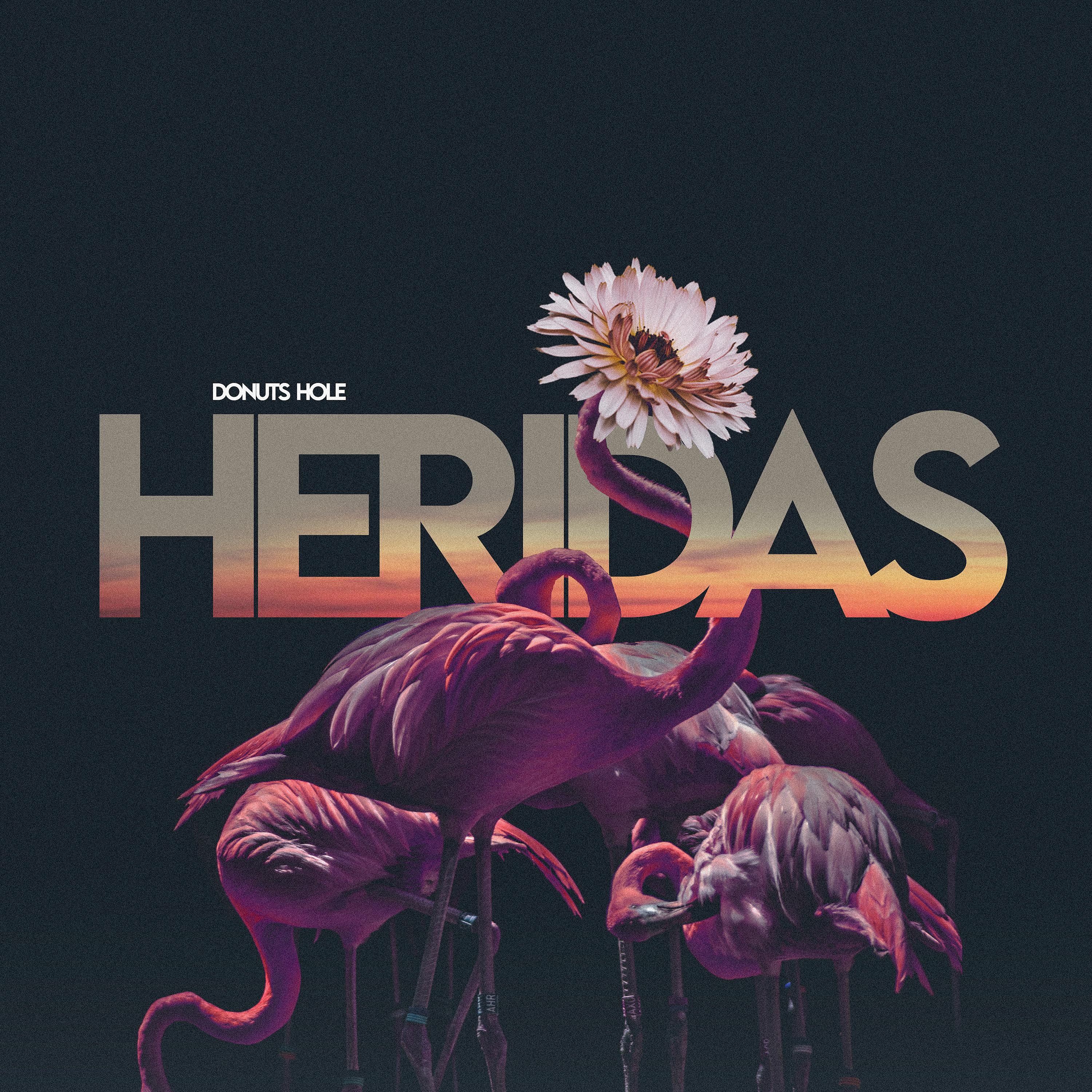 Постер альбома Heridas