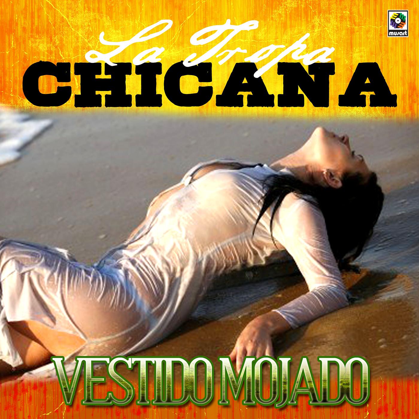 Постер альбома Vestido Mojado