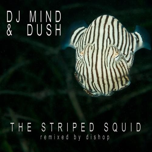 Постер альбома The Striped Squid