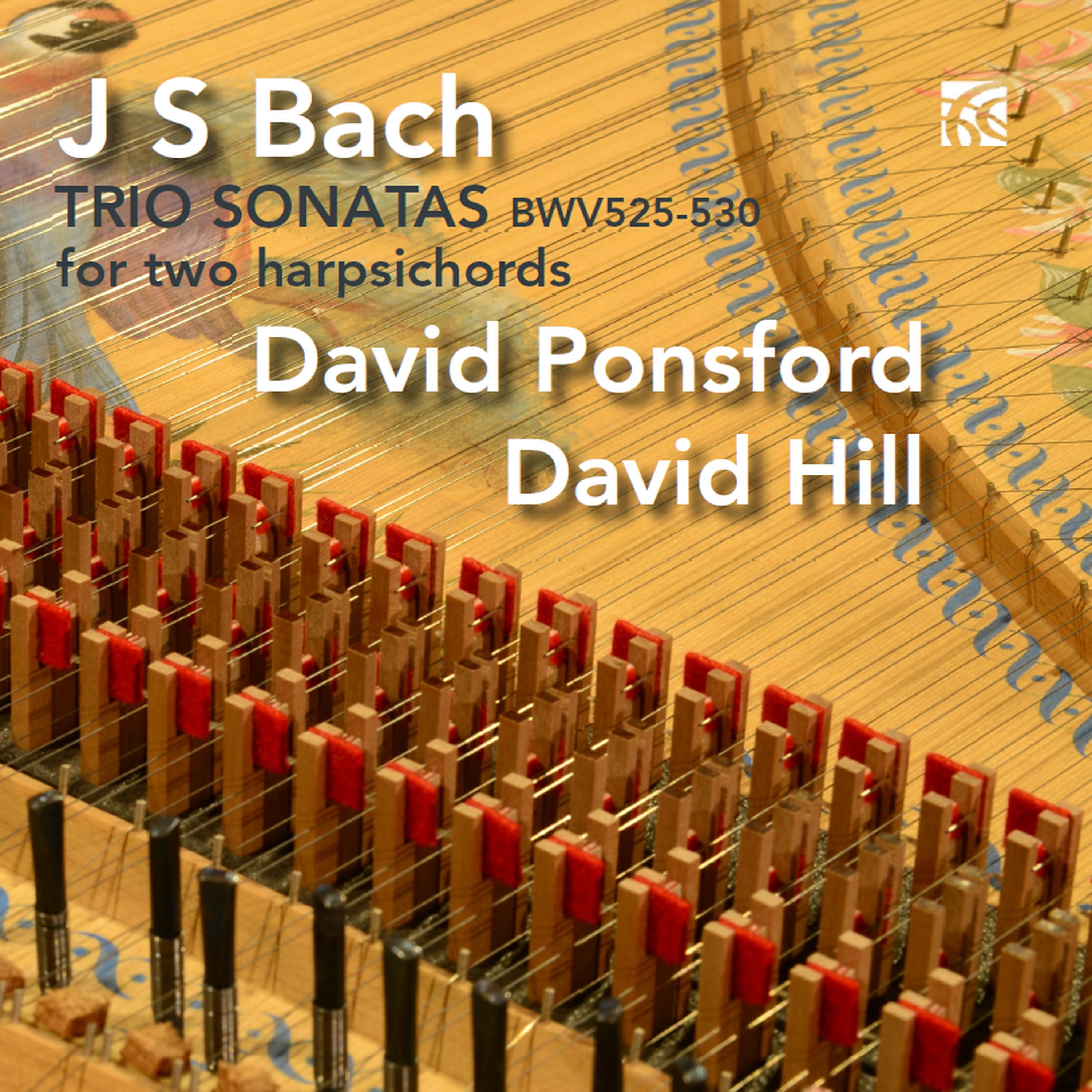 Постер альбома J.S. Bach: Six Trio Sonatas Arranged for Two Harpsichords