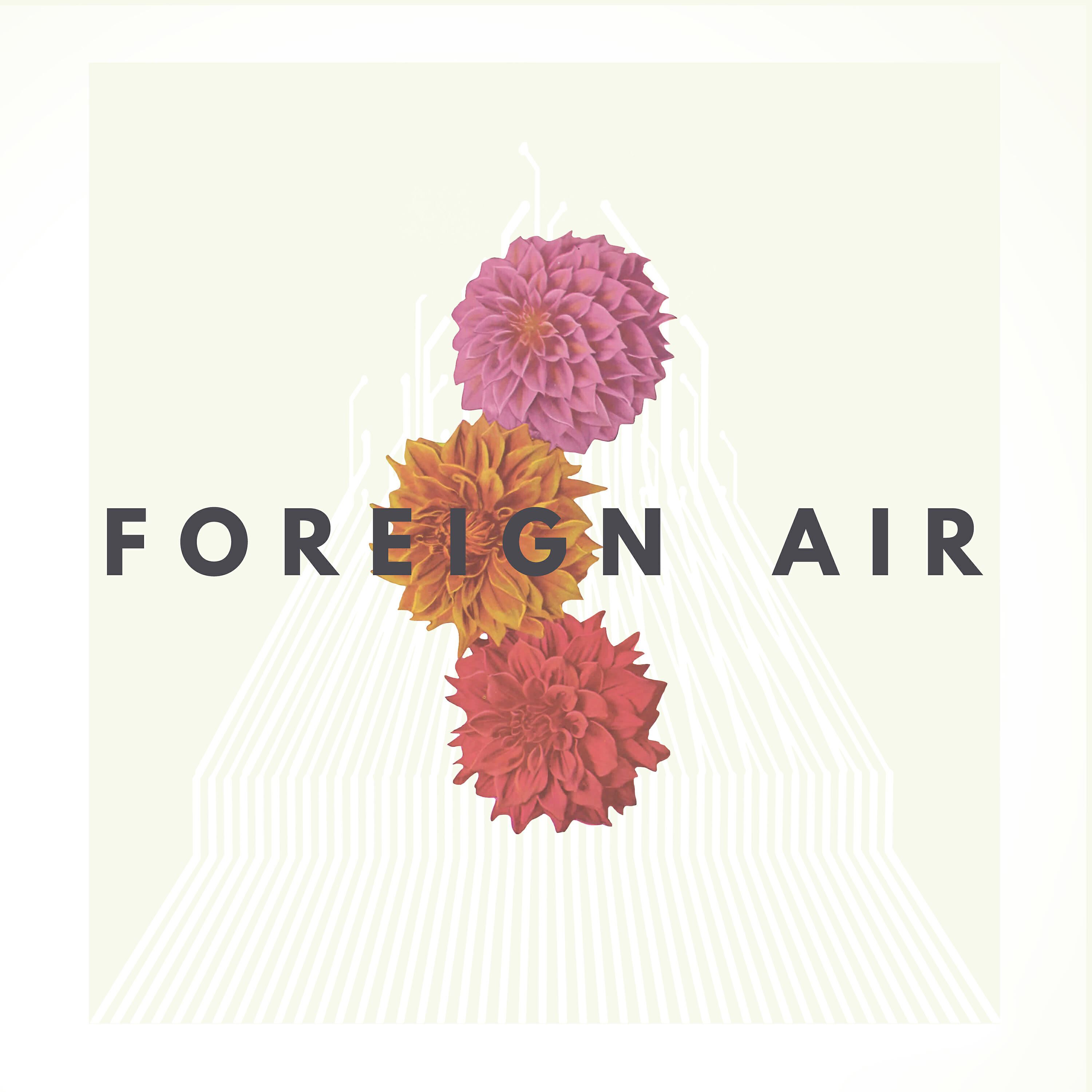 Foreign Air - Free Animal