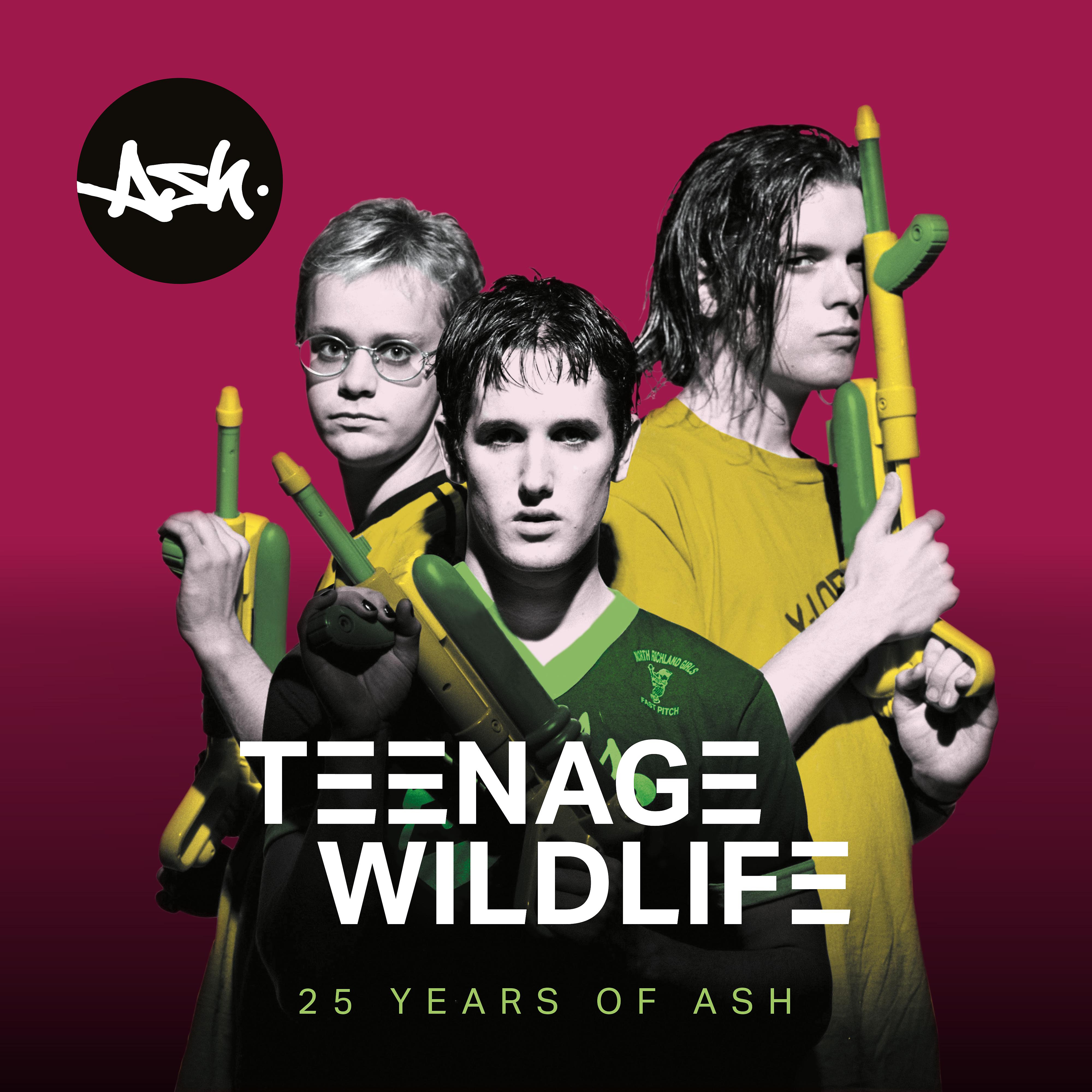 Постер альбома Teenage Wildlife: 25 Years of Ash