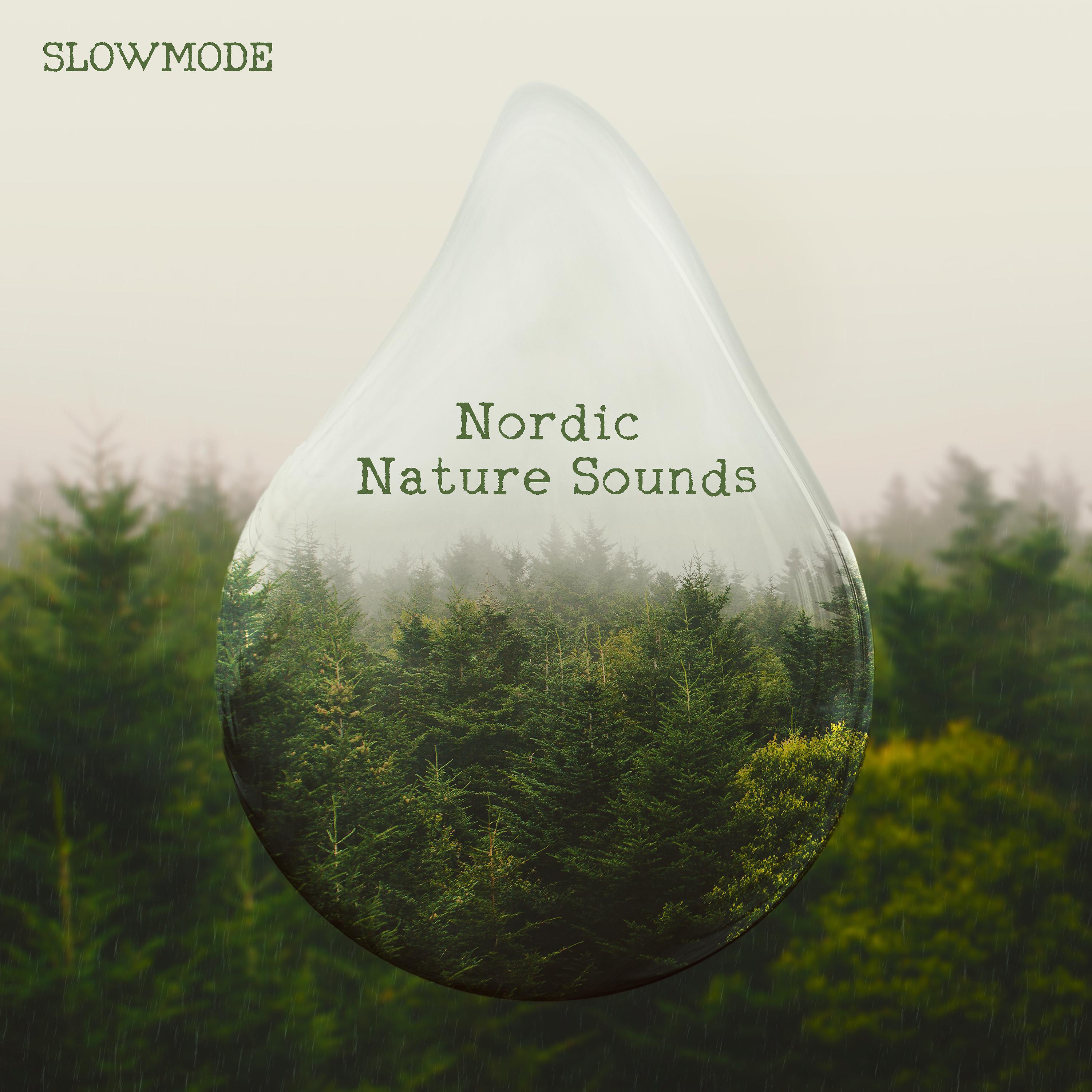 Постер альбома Nordic Nature Sounds