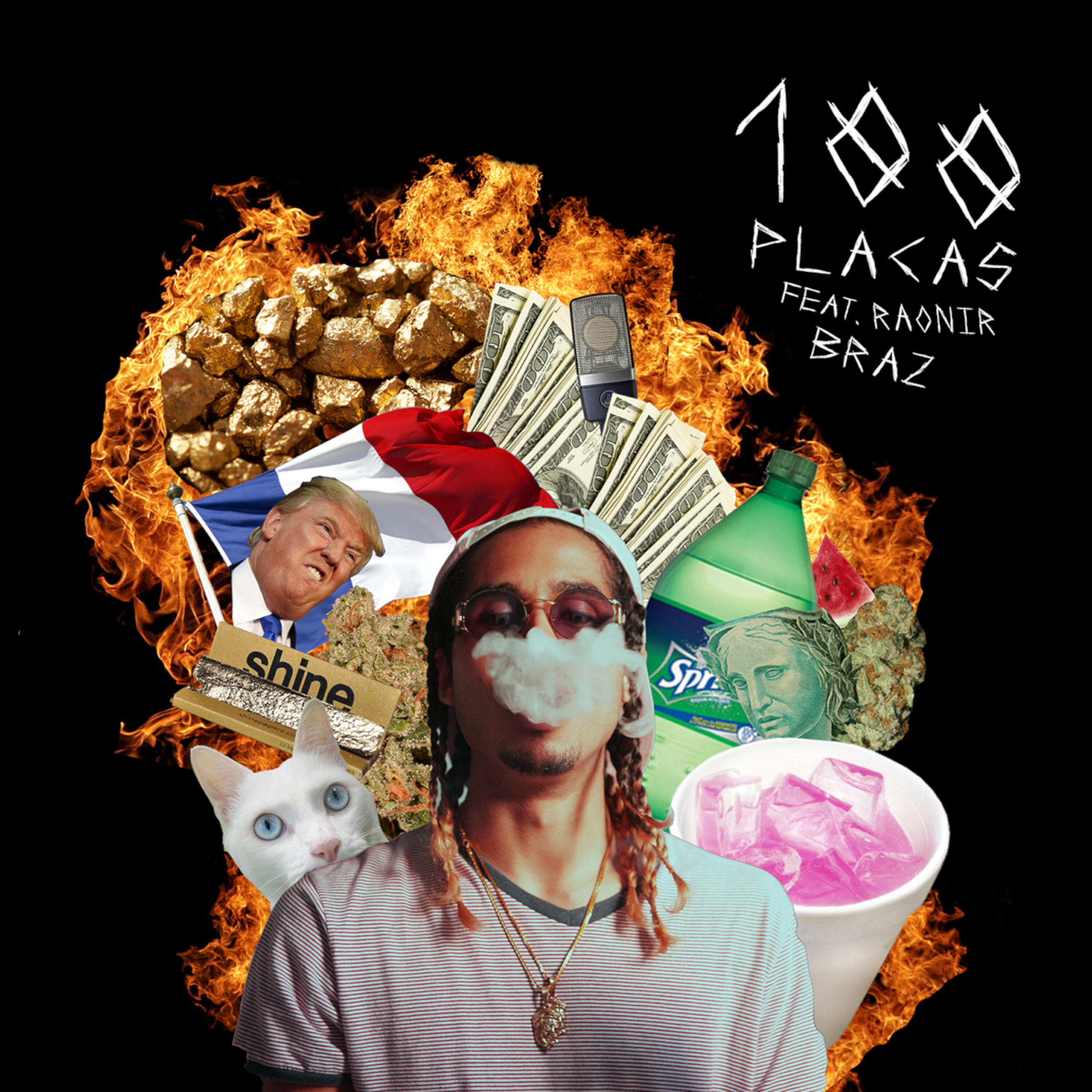 Raonir Braz - 100 Placas
