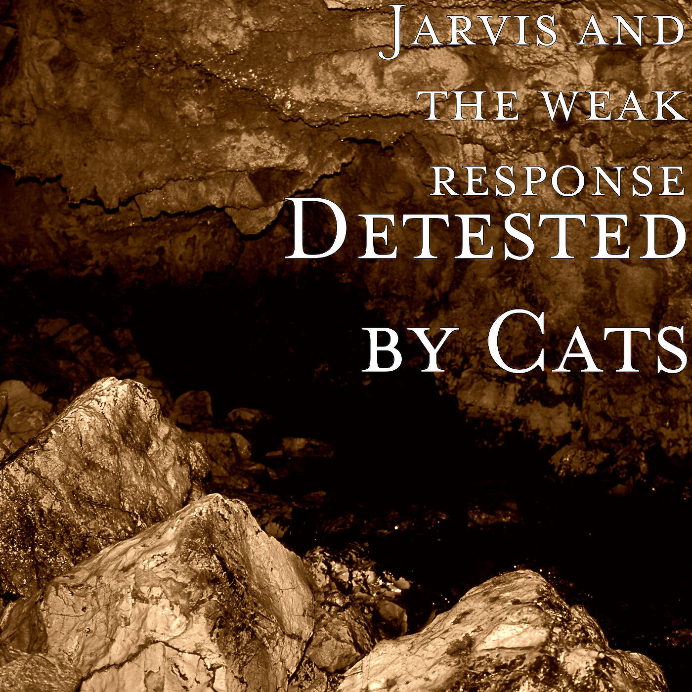 Jarvis and the weak response - Lab Rats (Polite)