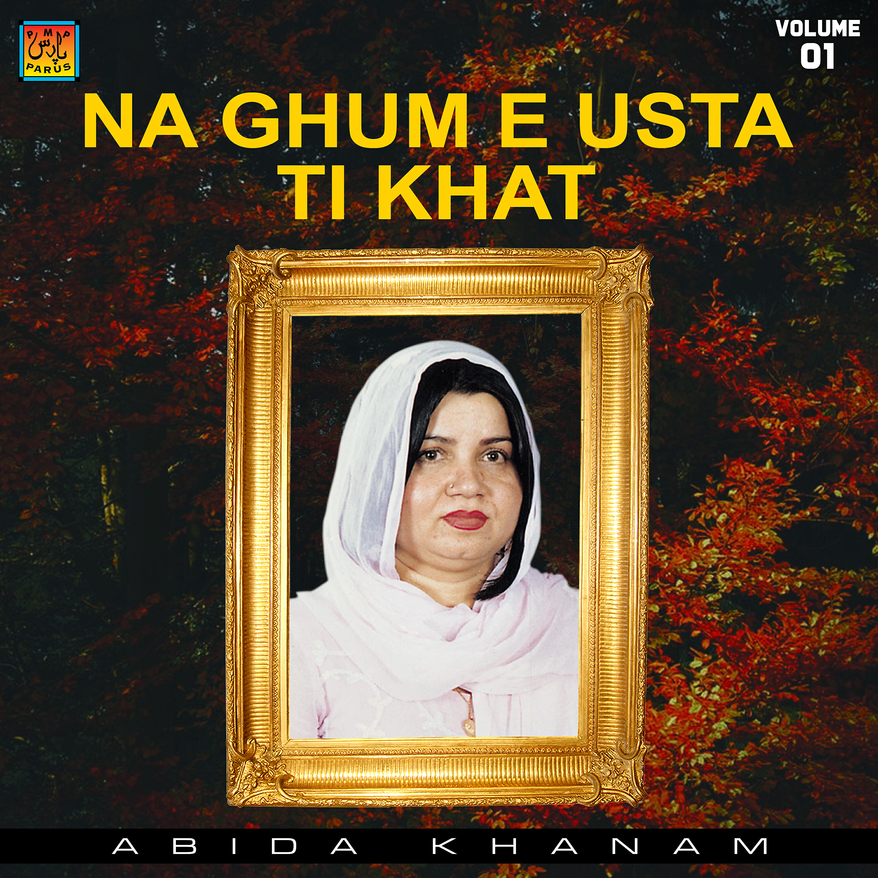 Abida Khanam - O Zeba Zeba Gha