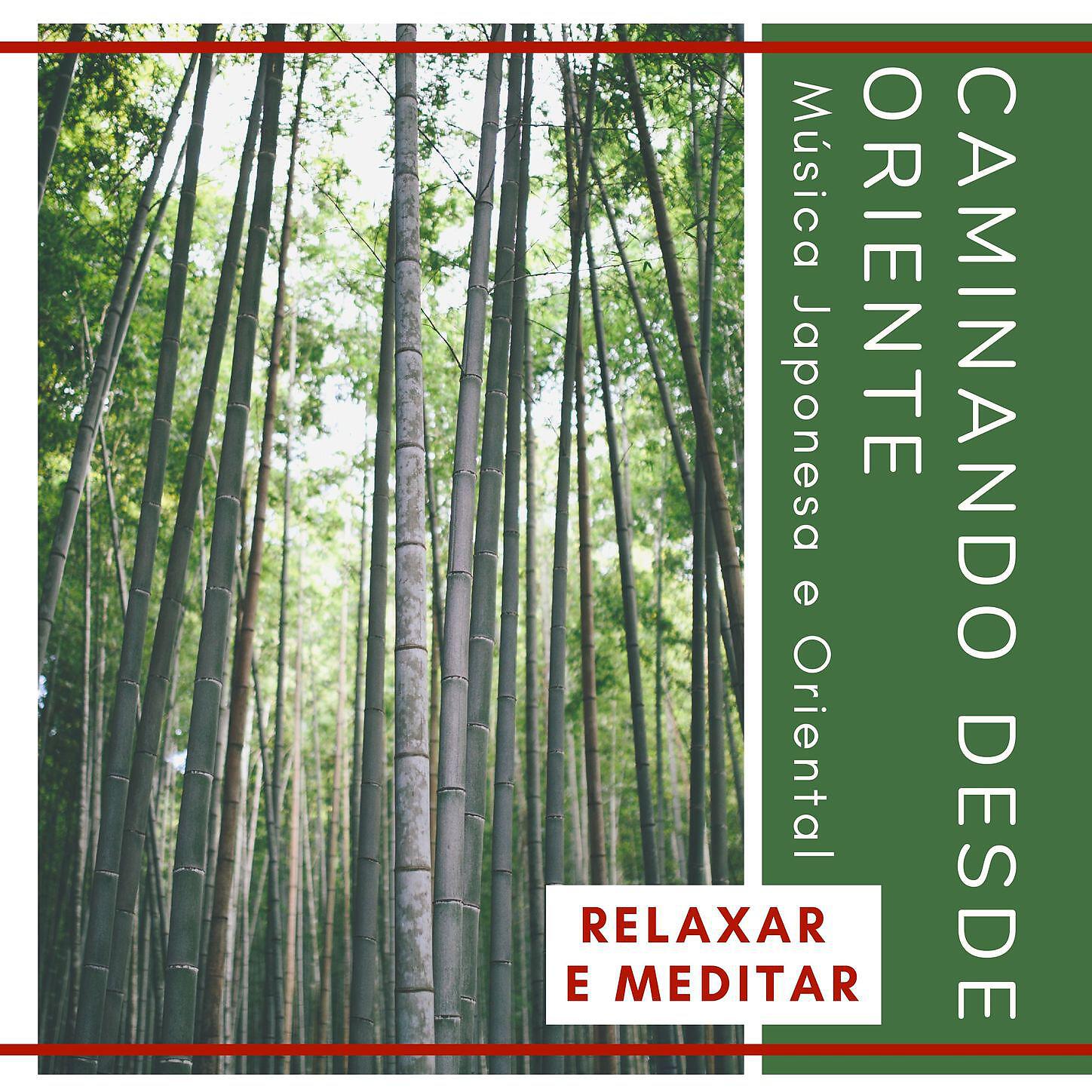 Asia Meditação - Meditação para Iniciantes