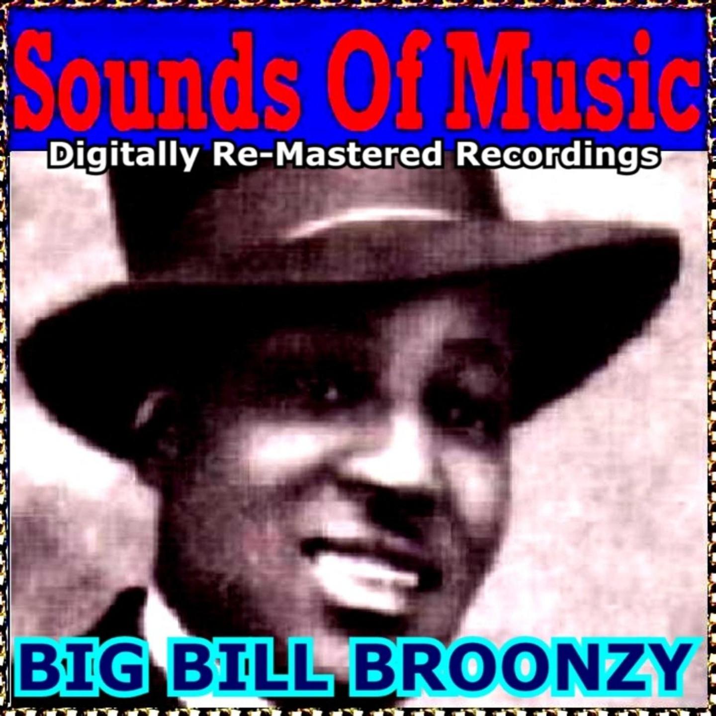 Постер альбома Sounds of Music Presents Big Bill Broonzy