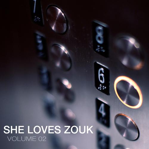 Постер альбома She Loves Zouk, Vol. 2