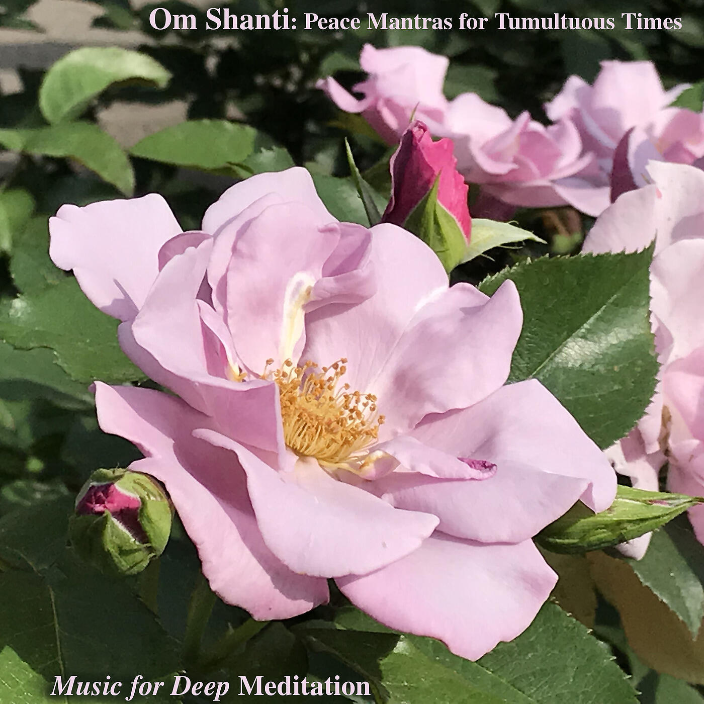 Music For Deep Meditation - Om Shanti