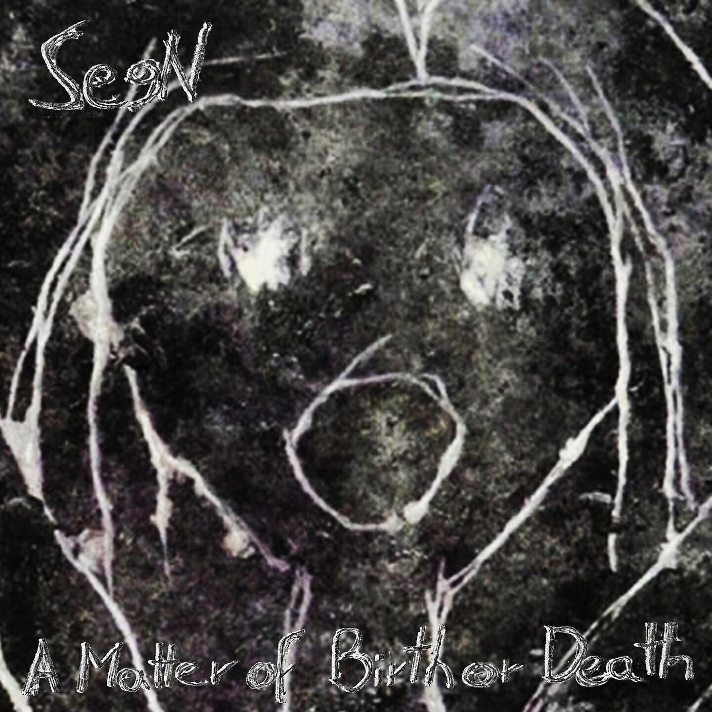 Seen - Elvis Presley