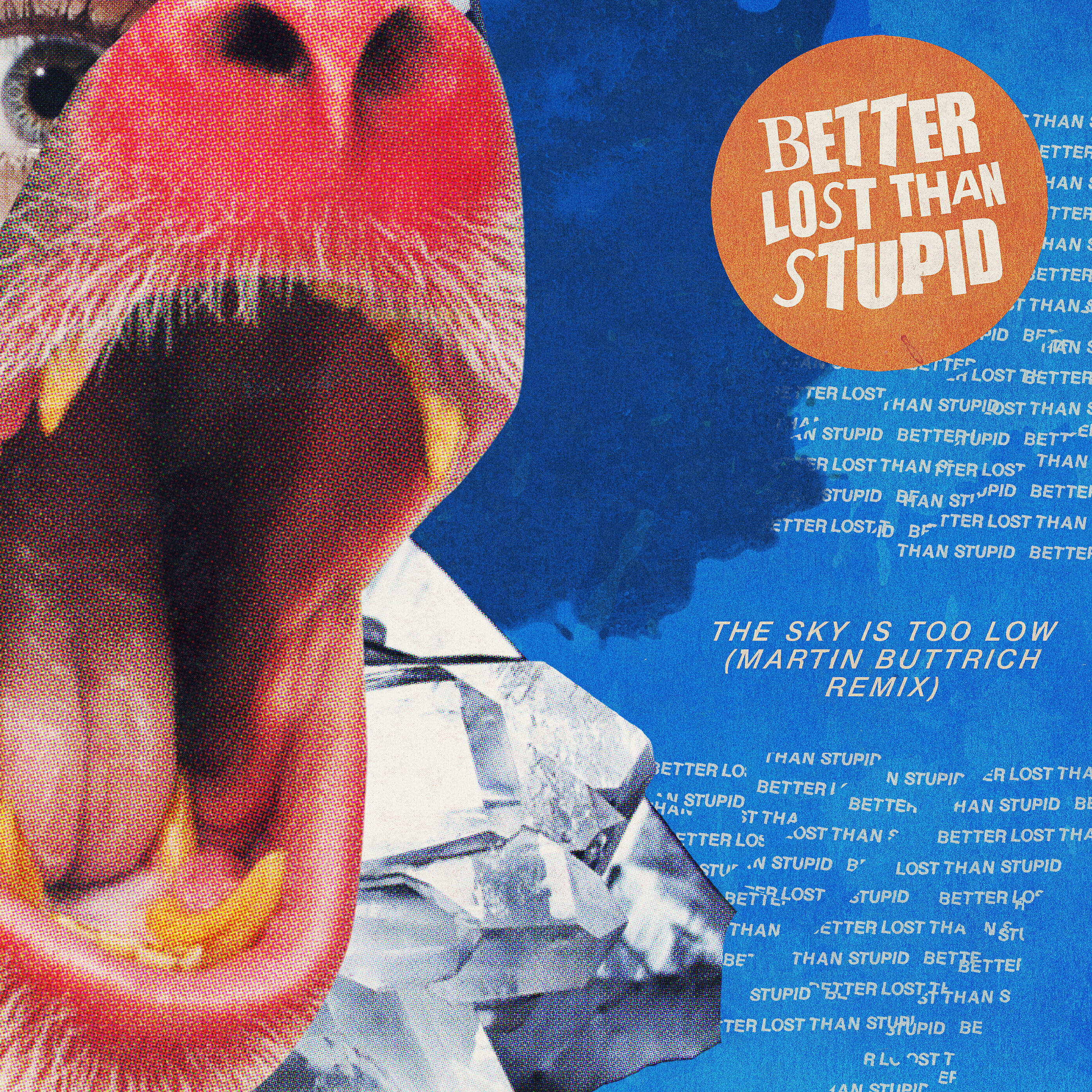 Better Lost Than Stupid - The Sky Is Too Low (Martin Buttrich Remix)
