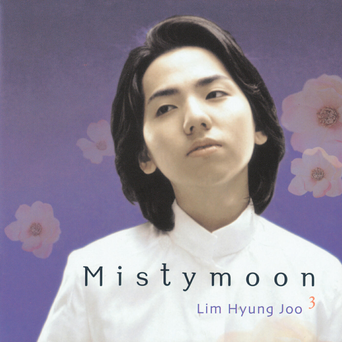 Hyung Joo Lim - Misty Moon