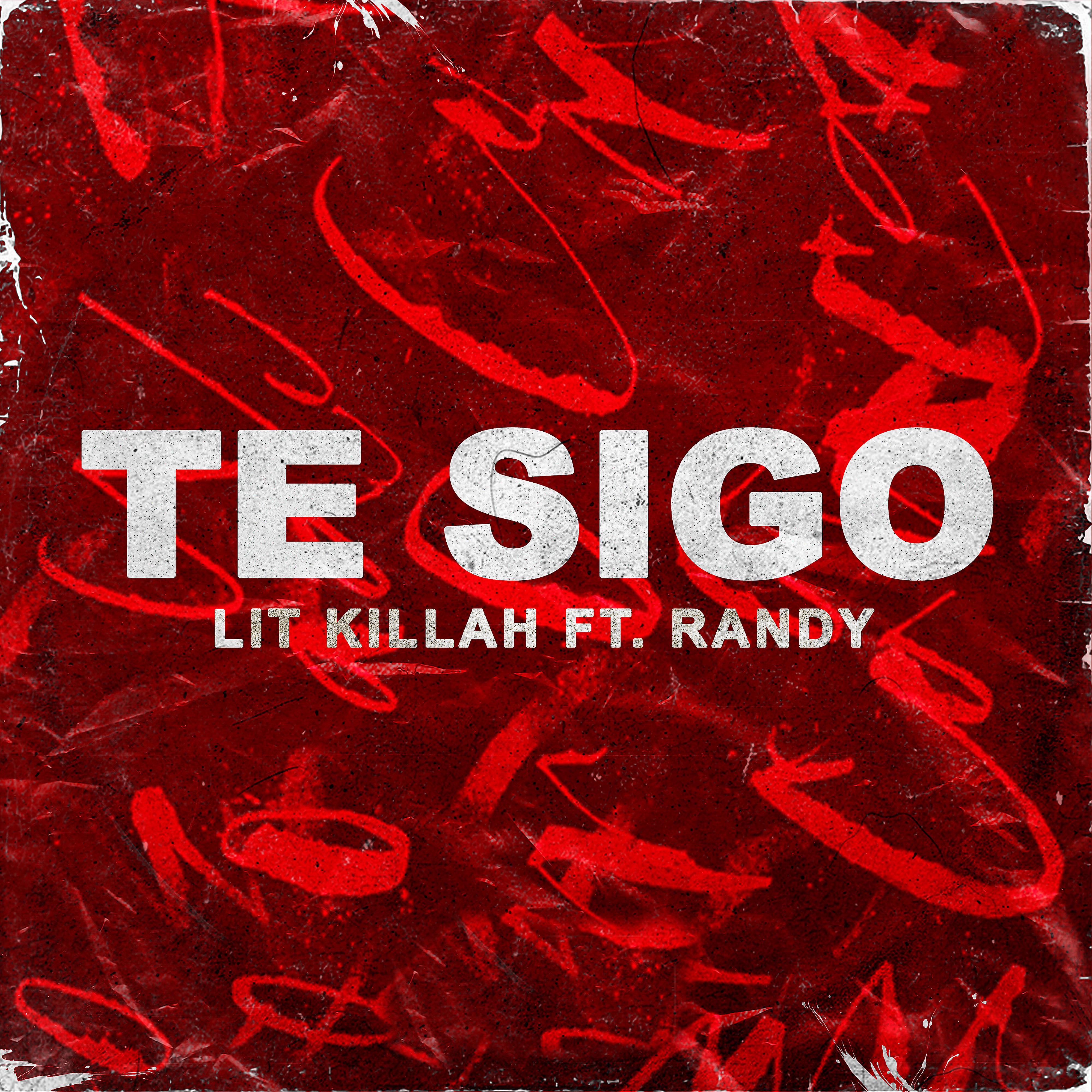 Постер альбома Te Sigo (feat. Randy)