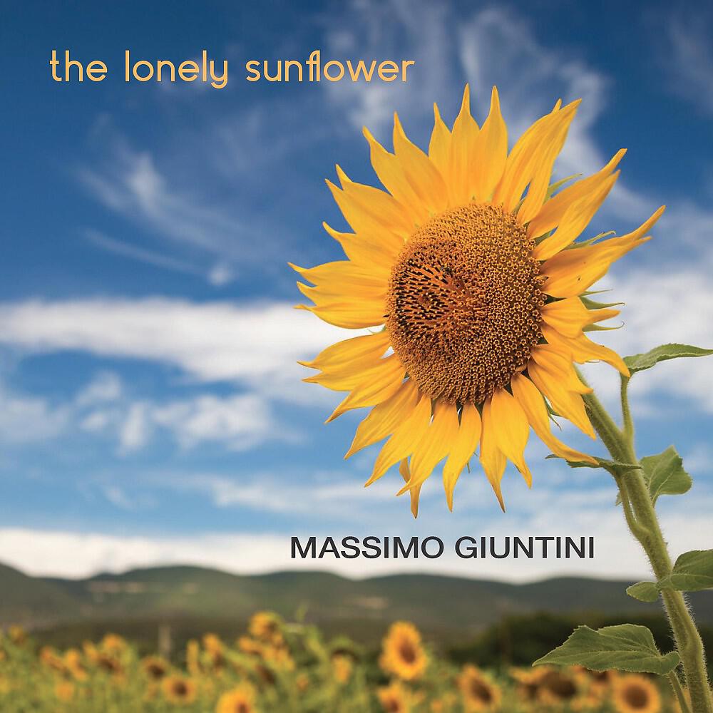 Massimo Giuntini - Facing the Sun