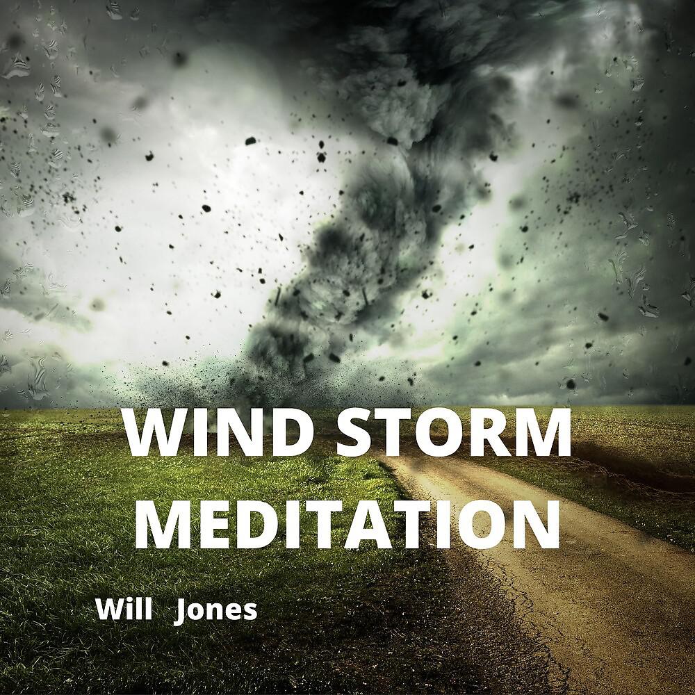 Постер альбома Wind Storm Meditation