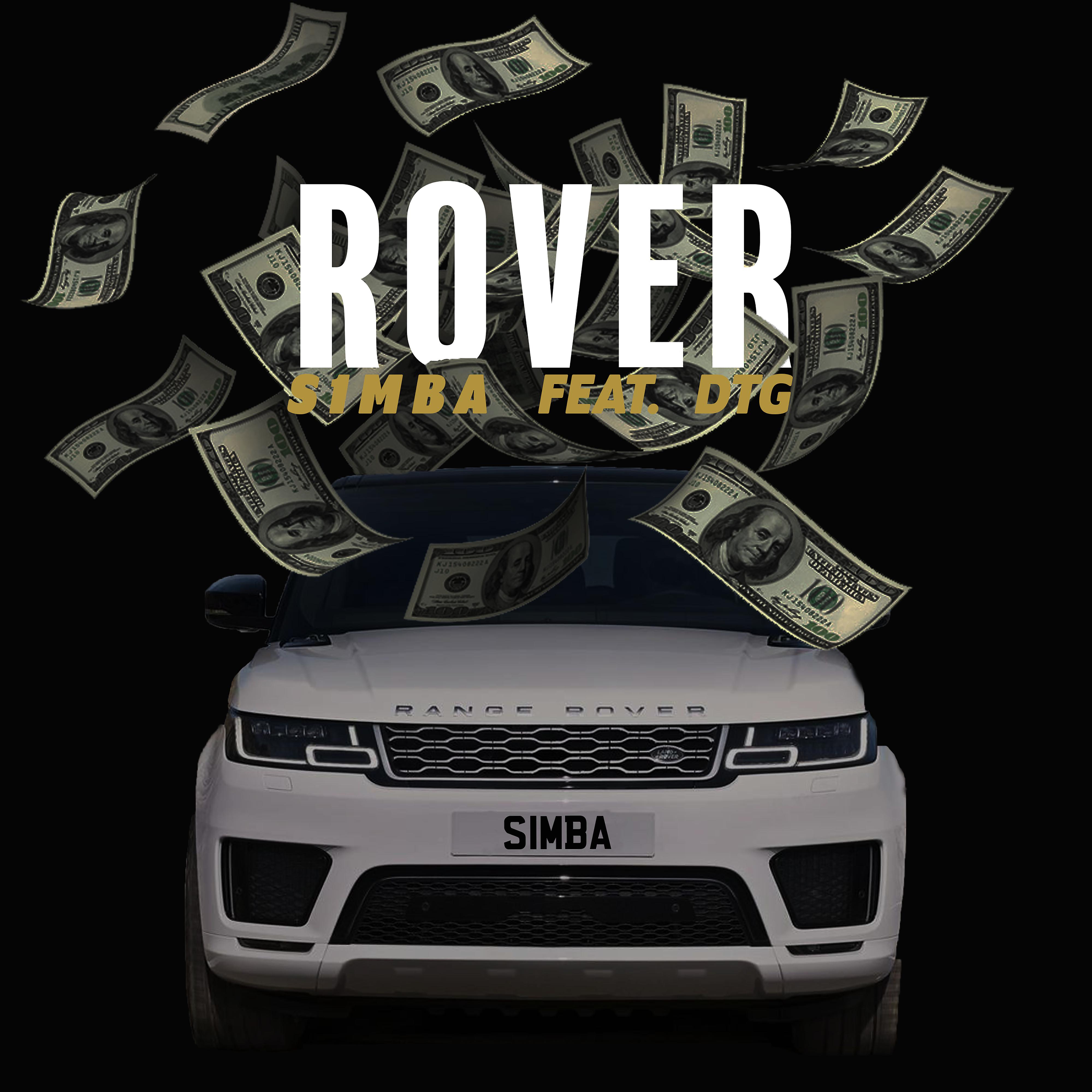 Постер альбома Rover (feat. DTG)