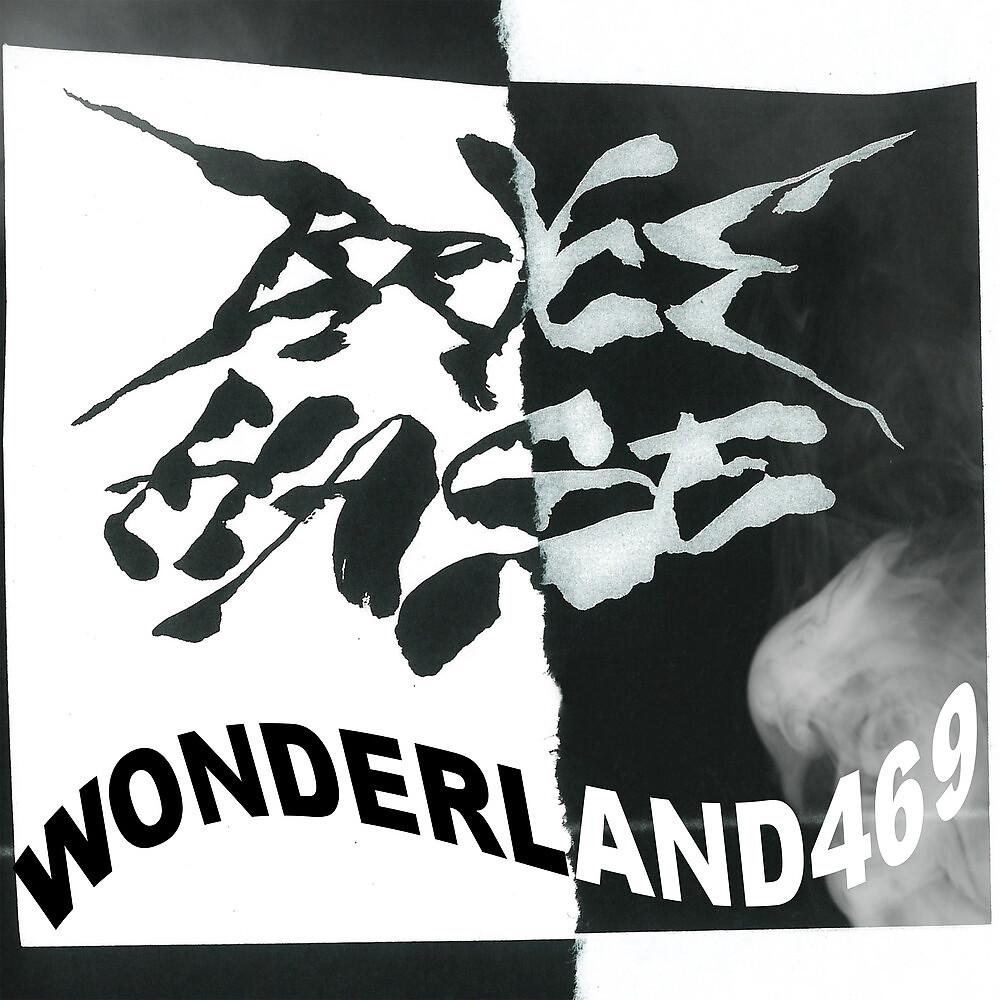 Постер альбома Wonderland469