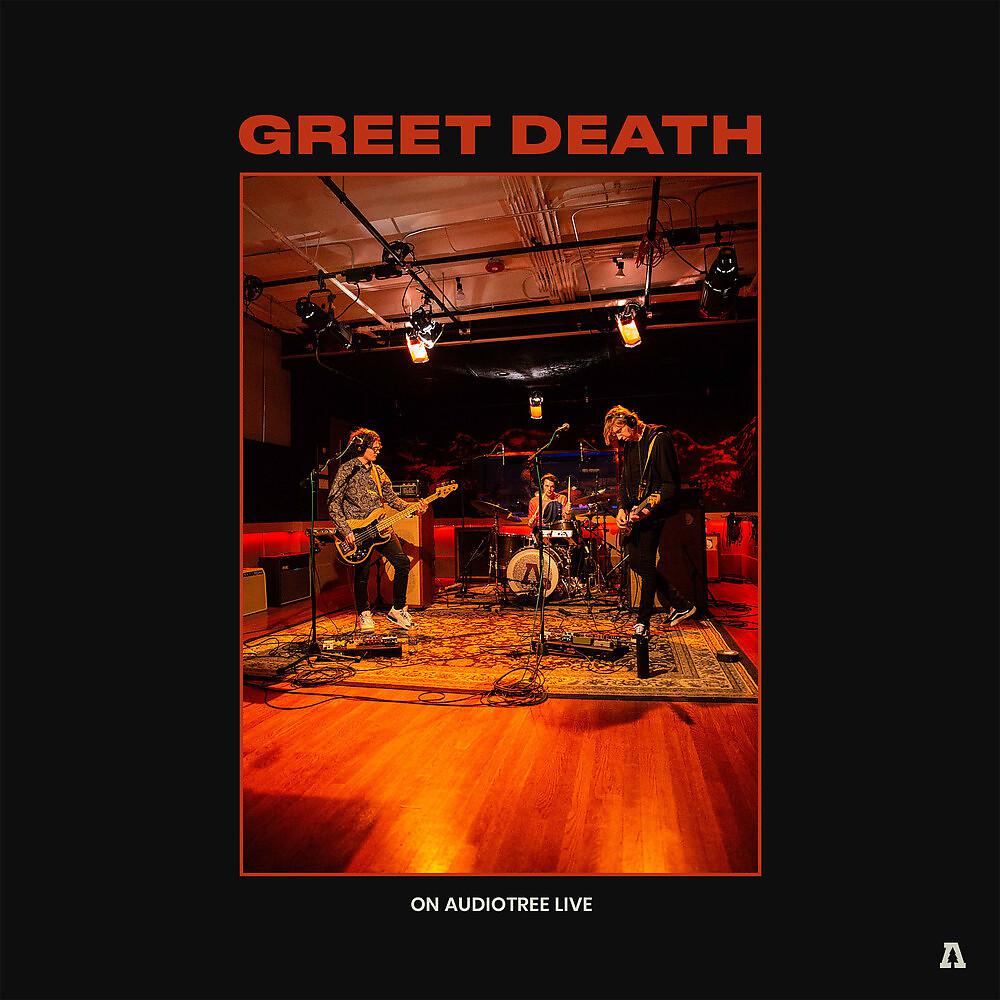 Постер альбома Greet Death on Audiotree Live