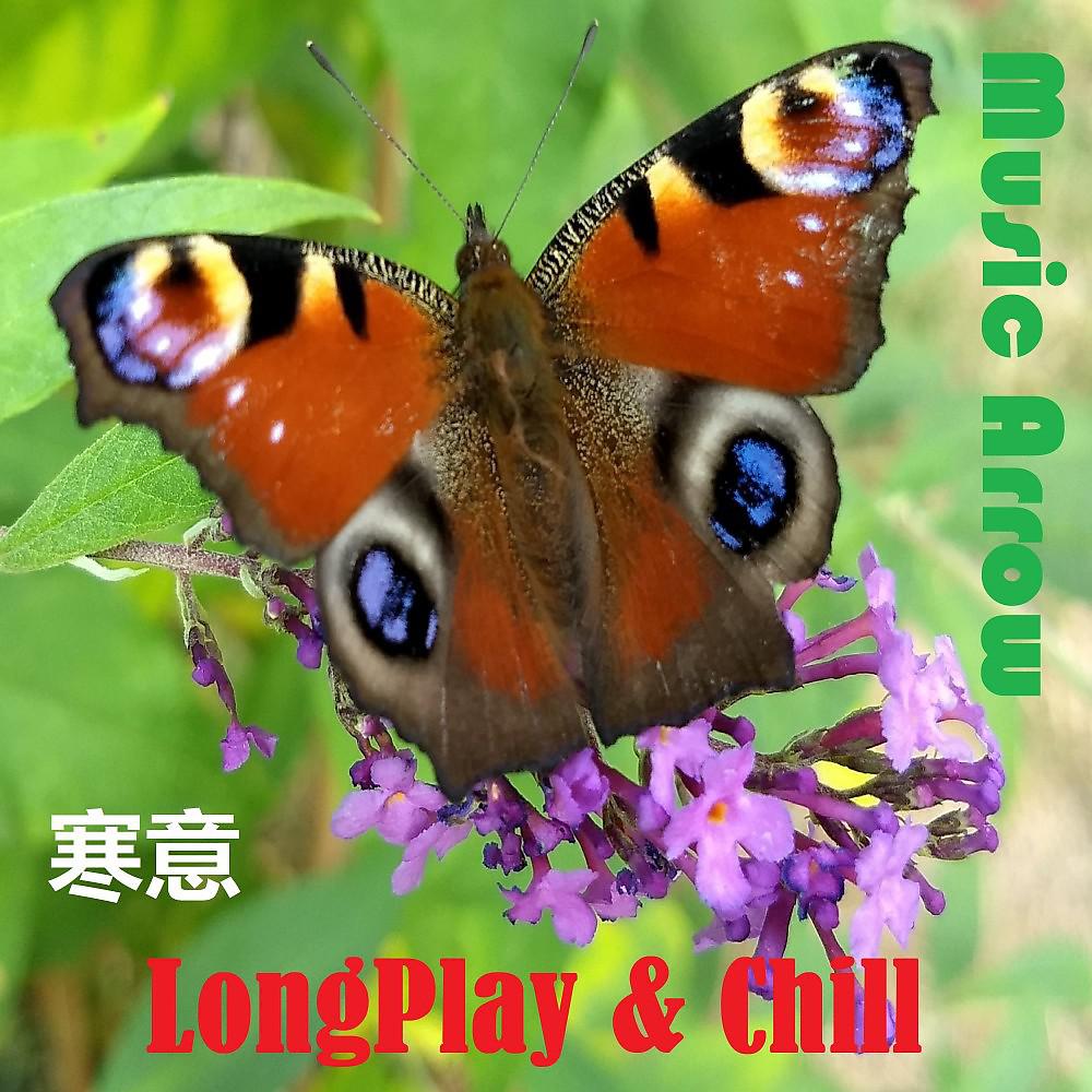 Постер альбома Longplay & Chill