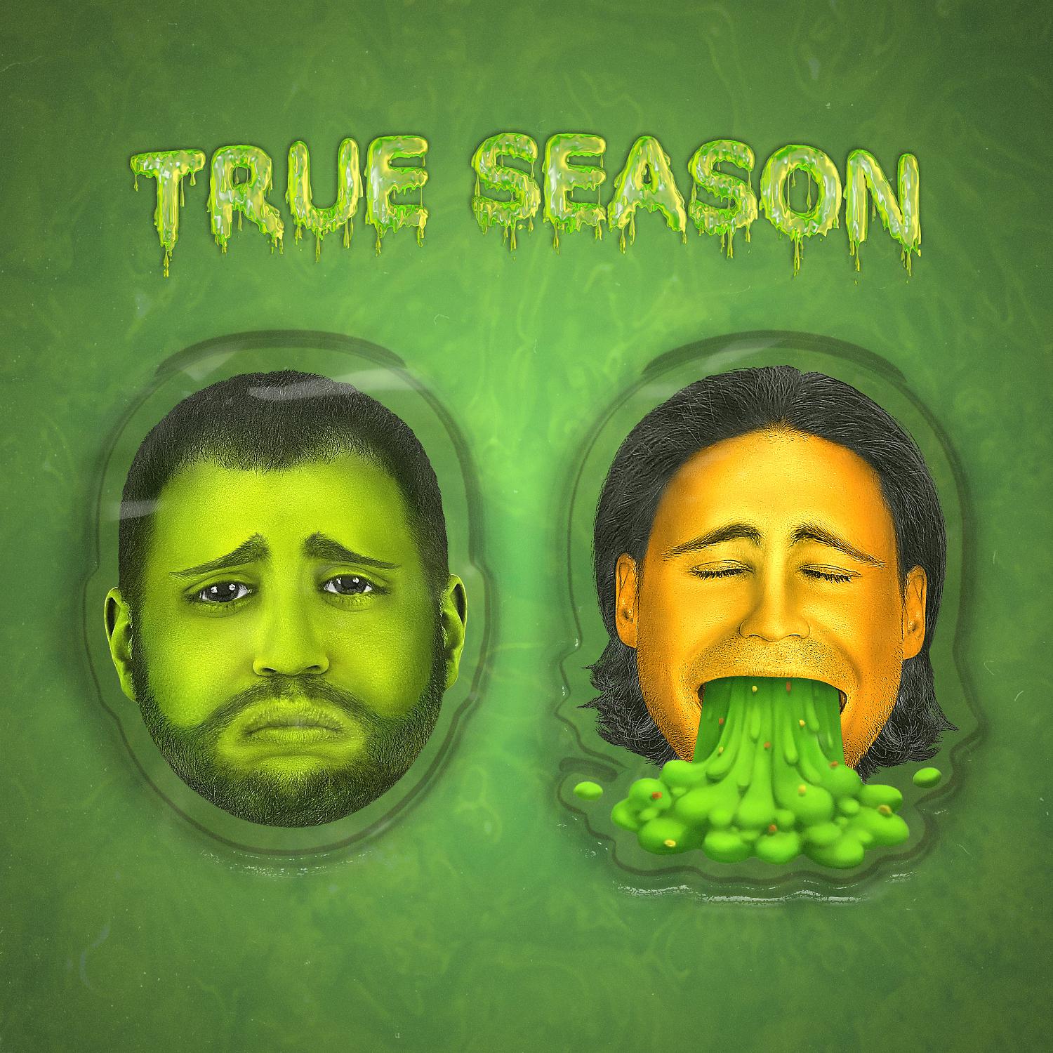 Постер альбома True Season