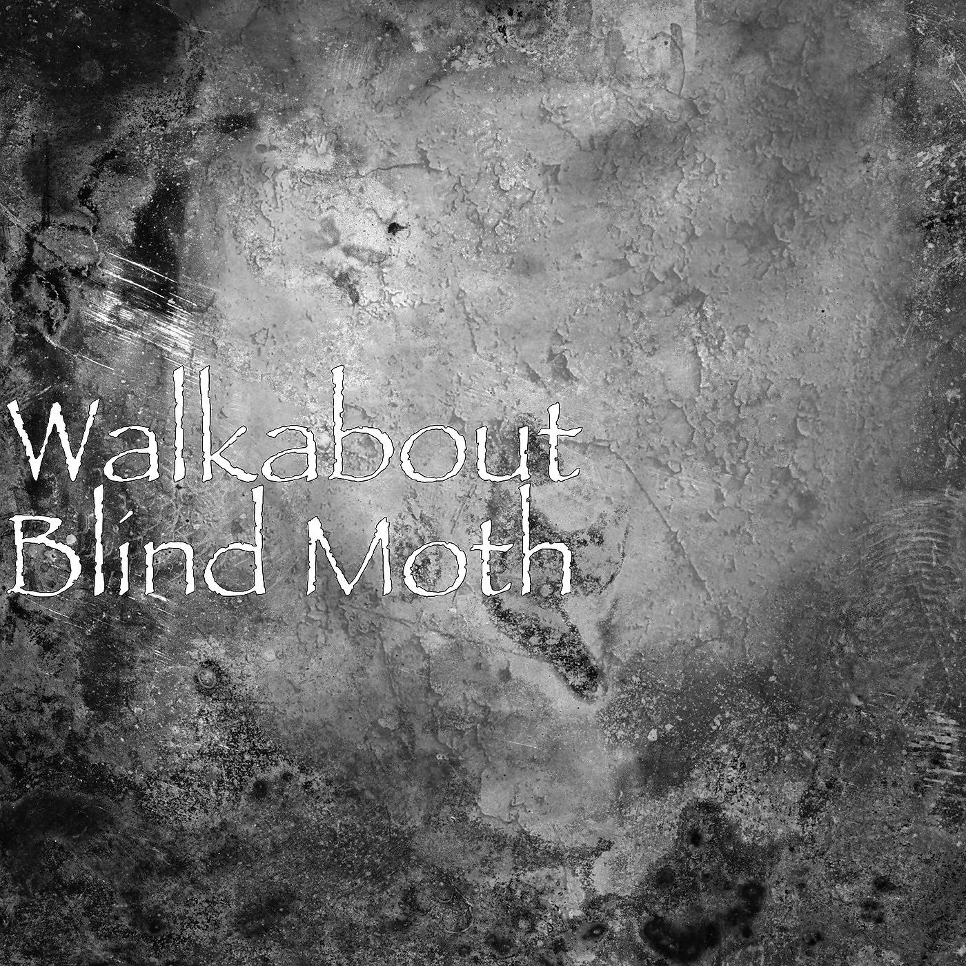 Постер альбома Blind Moth