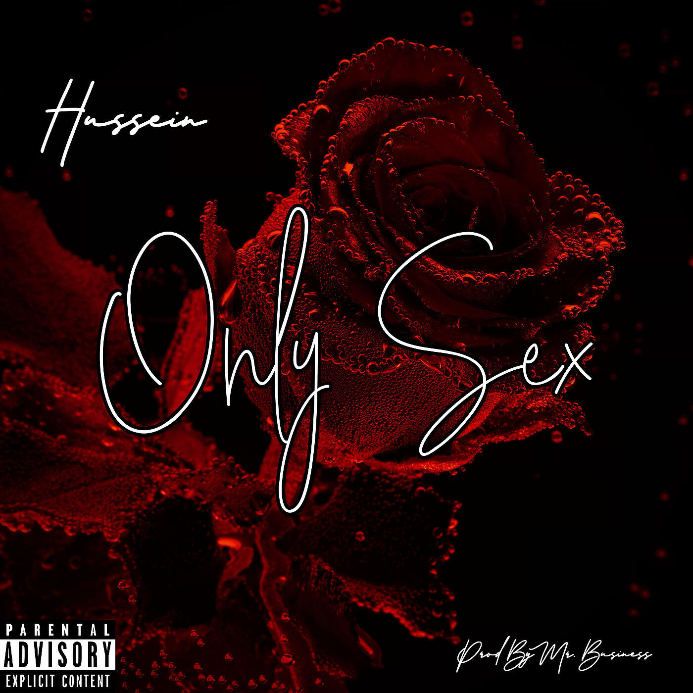 Hussein - Only Sex