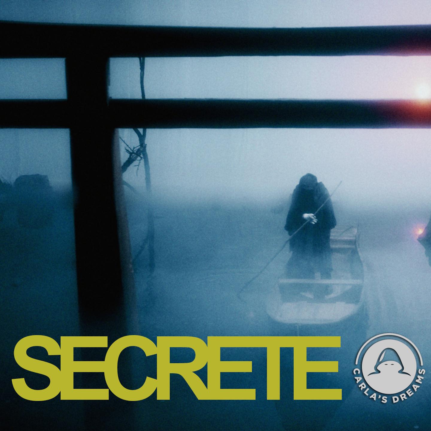 Постер альбома Secrete