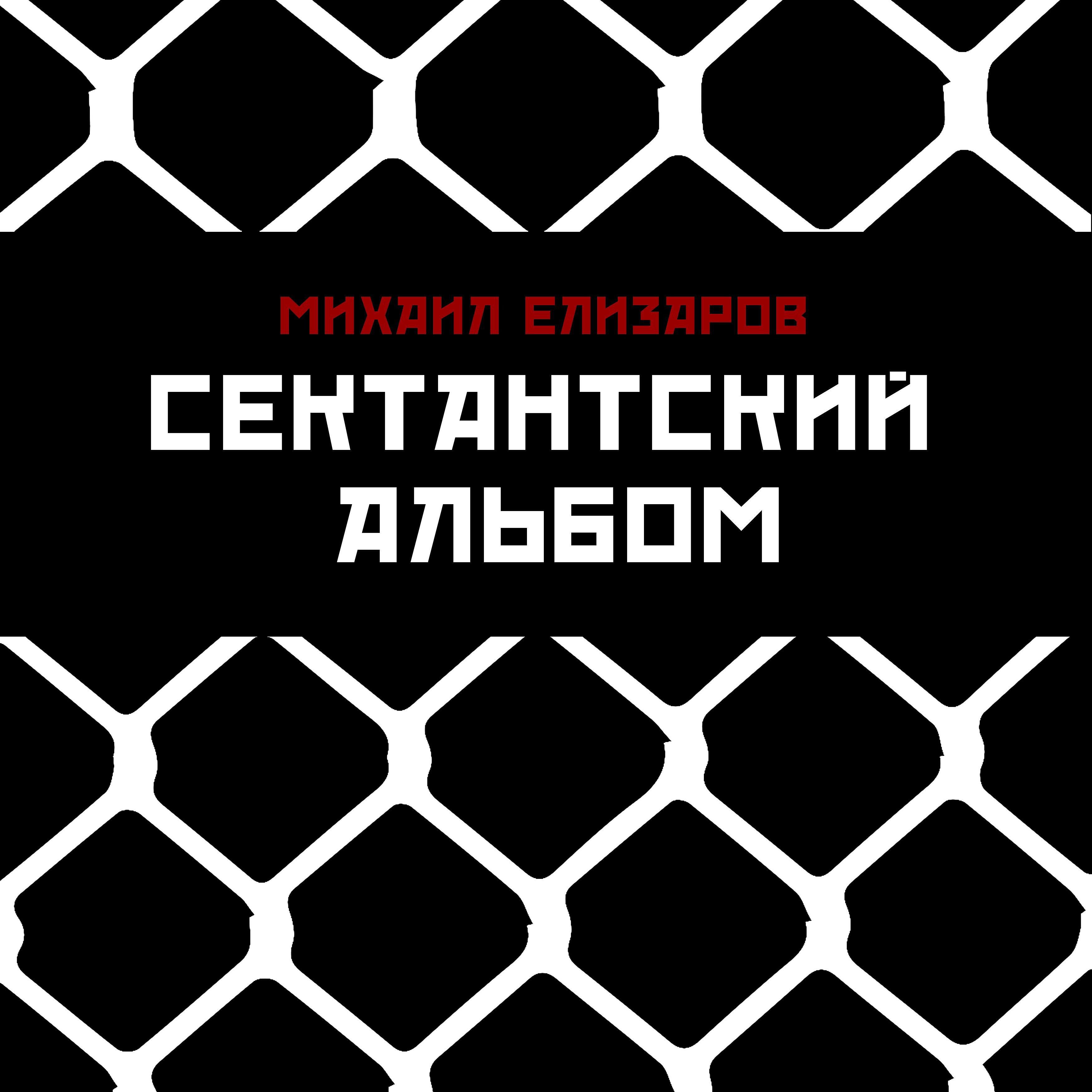 Михаил Елизаров - Хёндай 109
