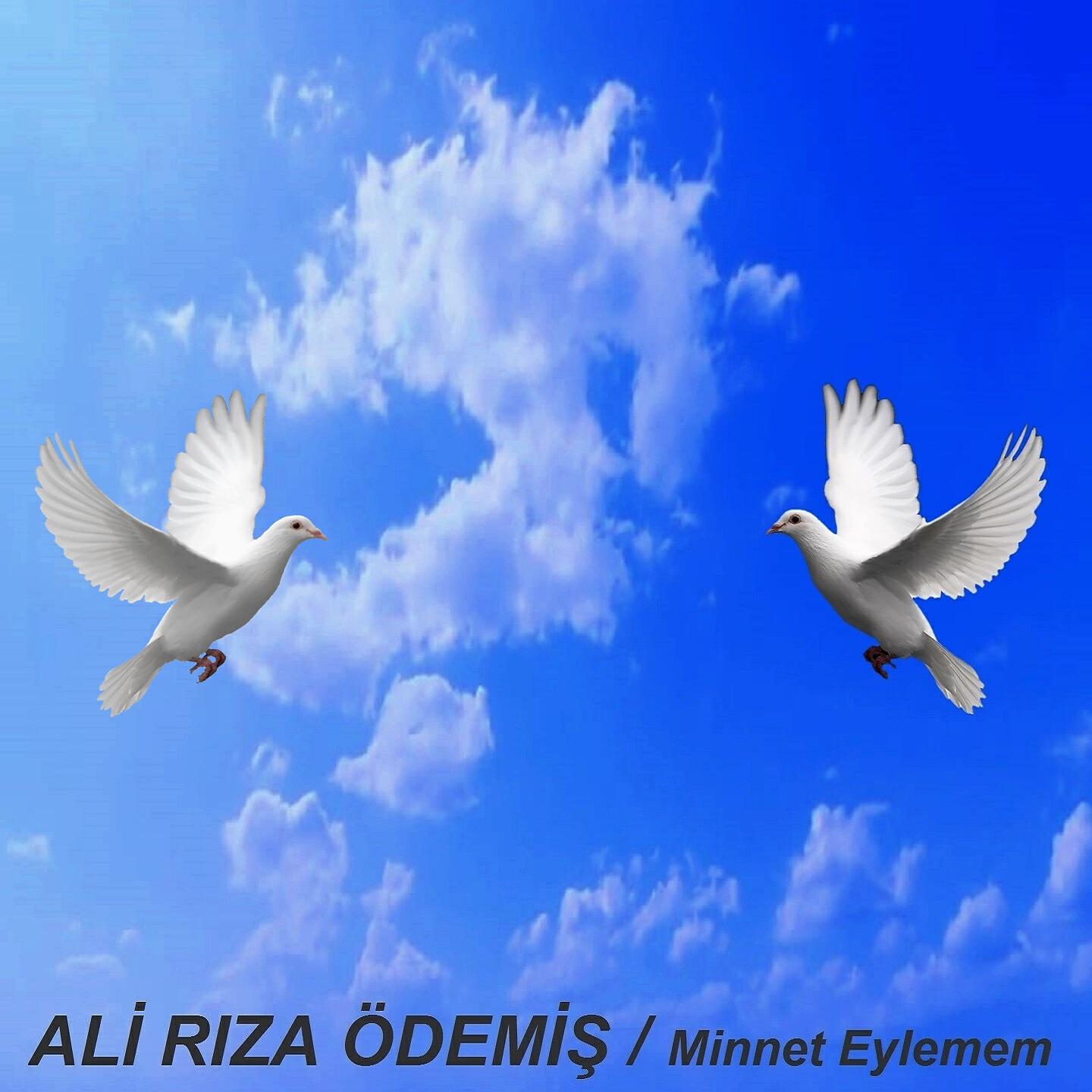 Ali Rıza Ödemiş - Minnet Eylemem