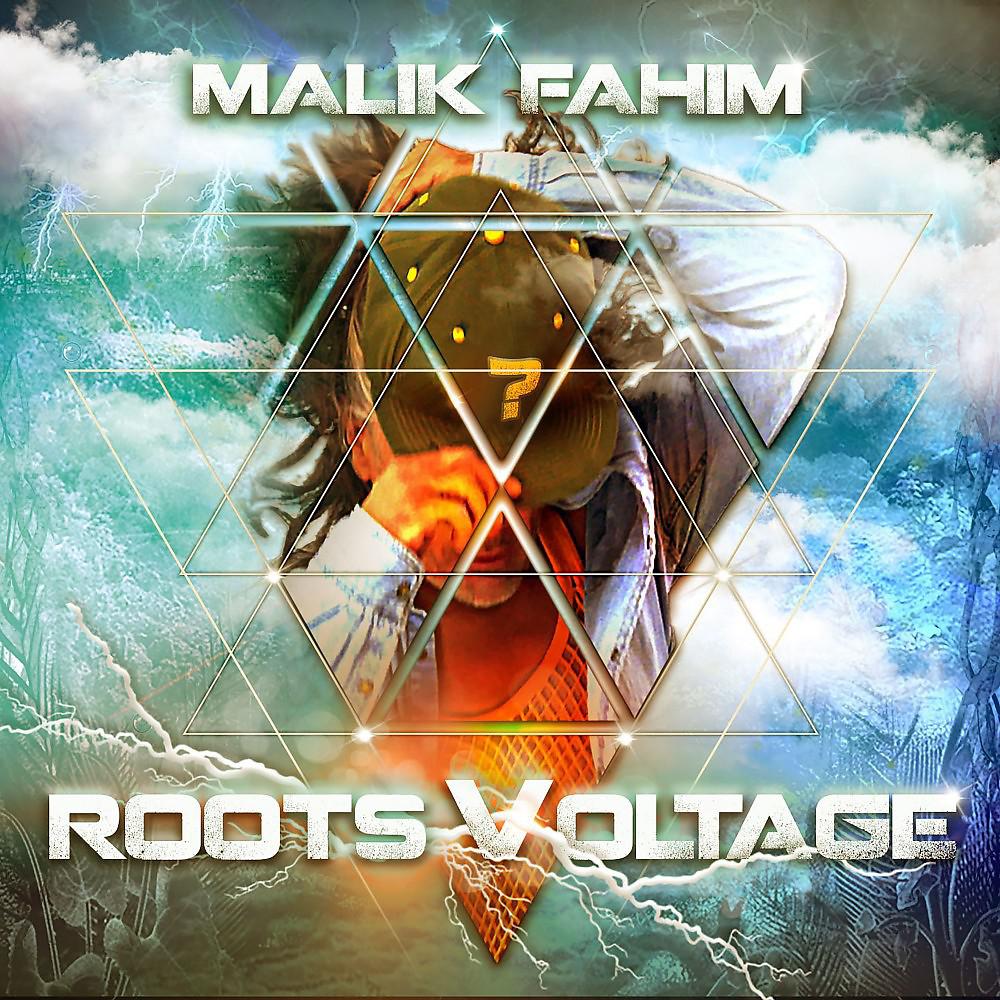 Постер альбома Roots Voltage