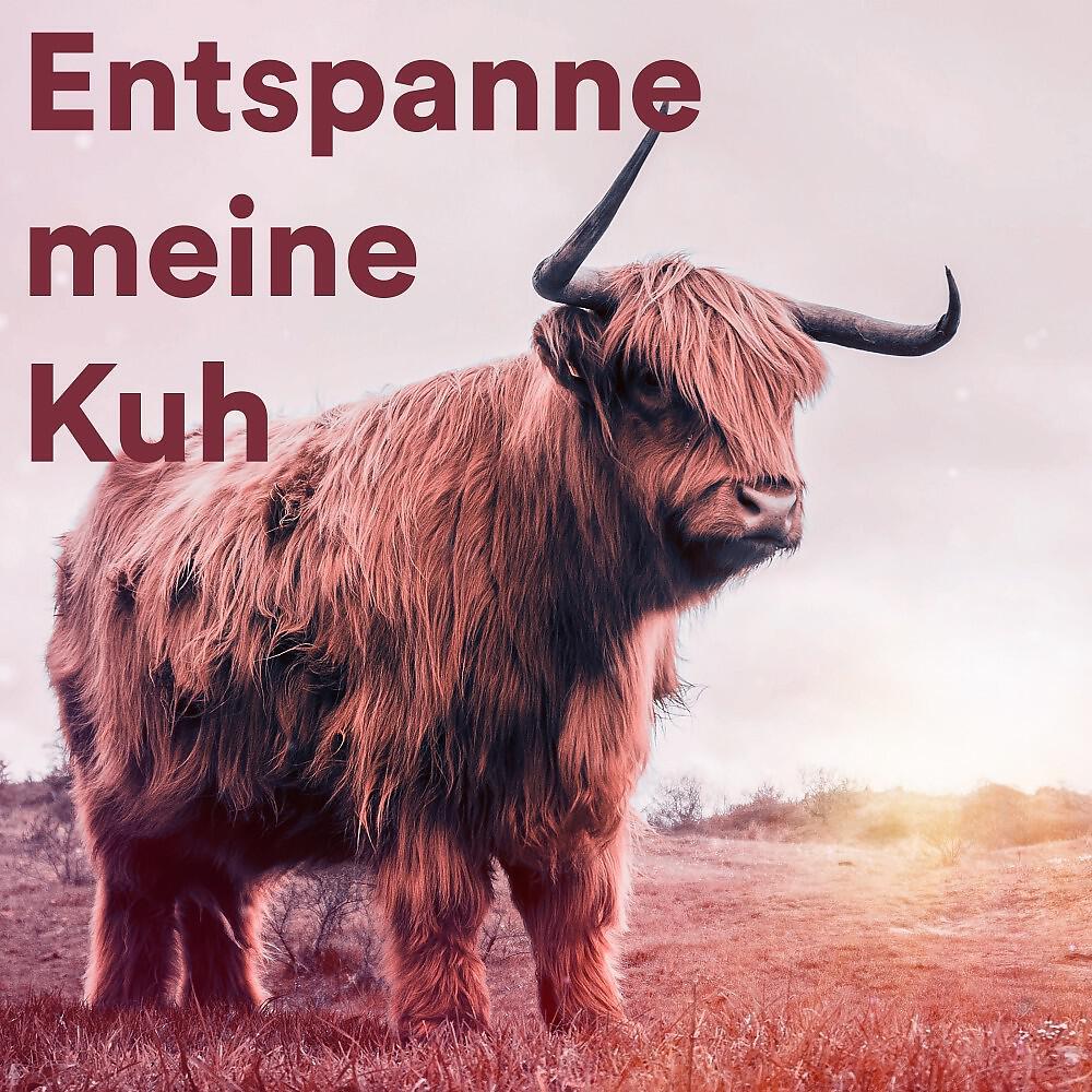 The Guinea Pig Gurus - Lovely Calming Guinea Pig Music