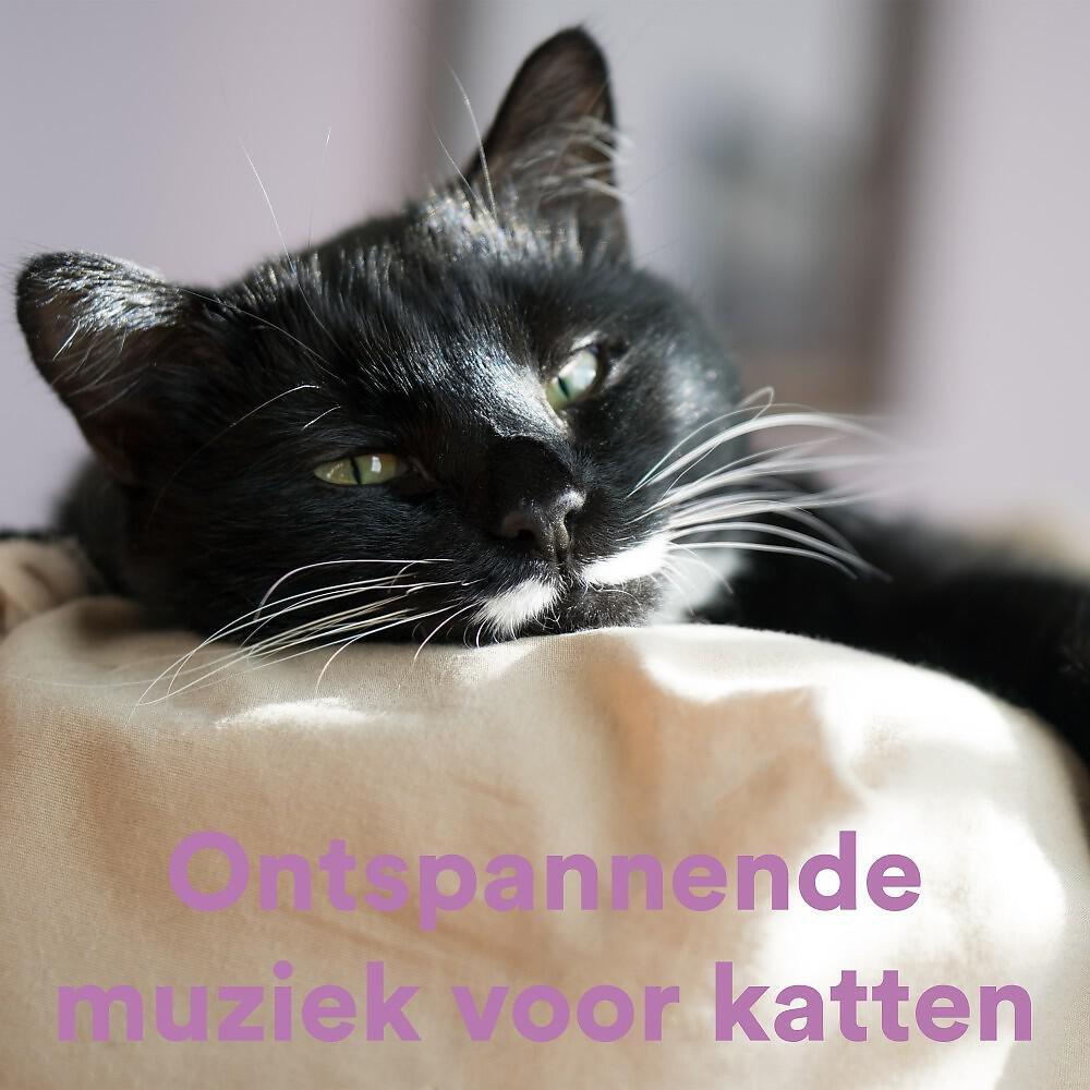 The Dog Relaxer - Relax My Cat