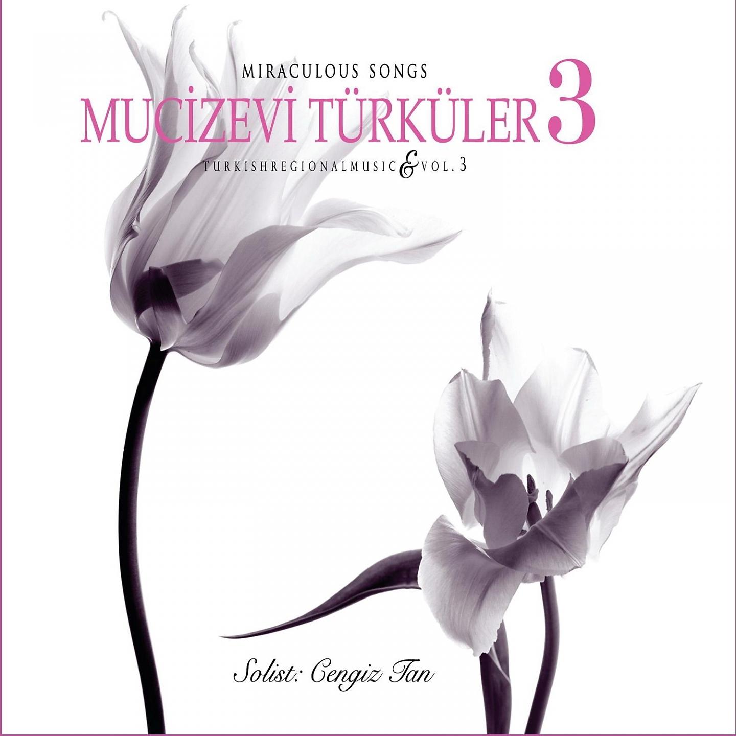 Постер альбома Mucizevi Türküler, Vol. 3